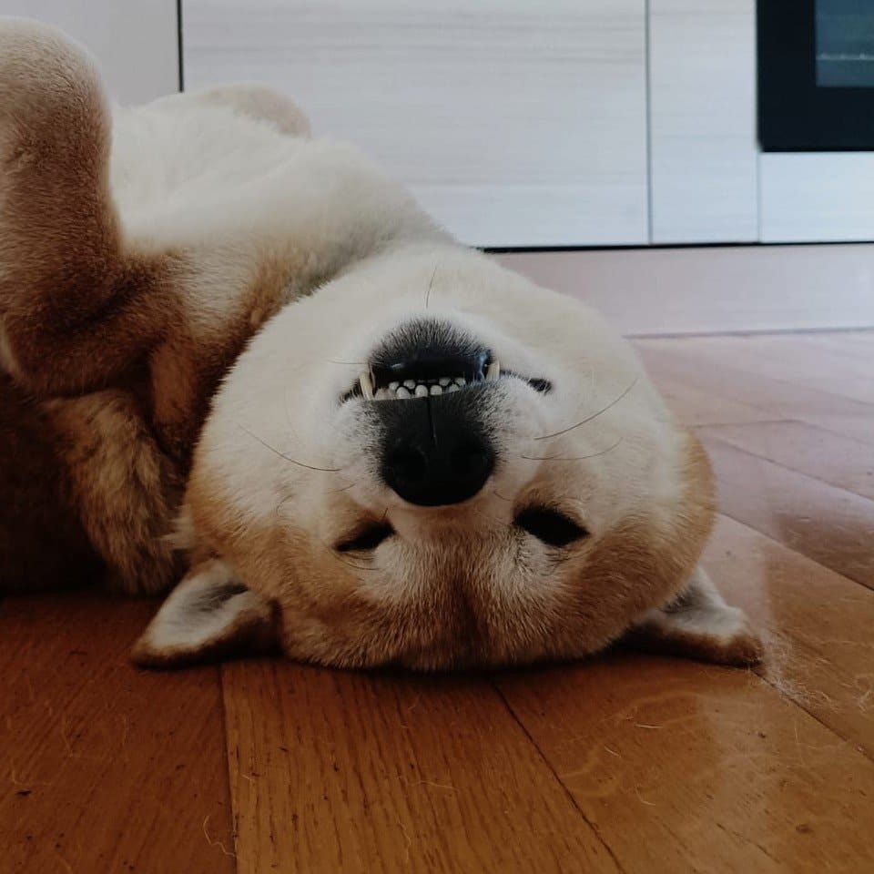 Nobu