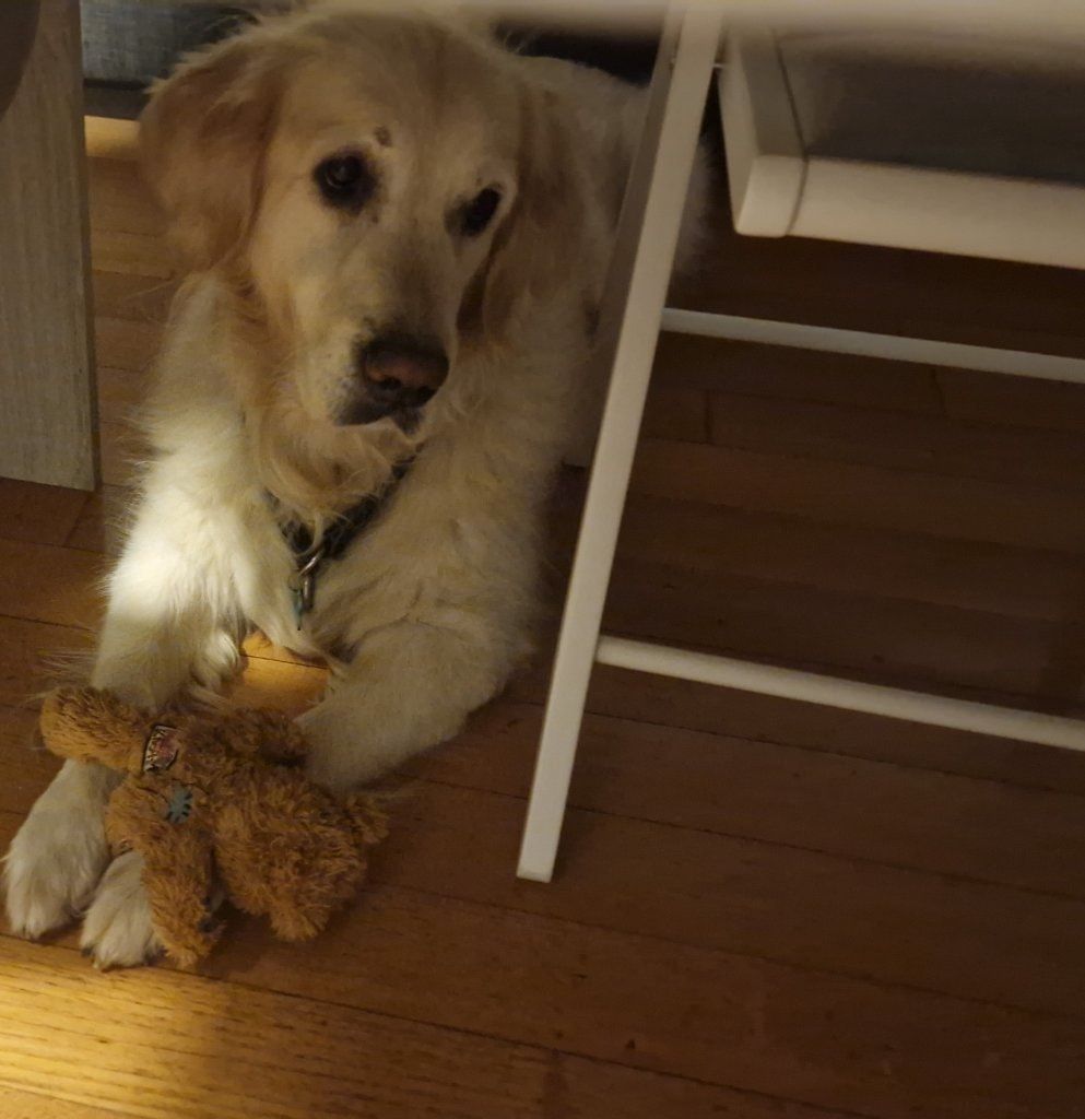 image-5