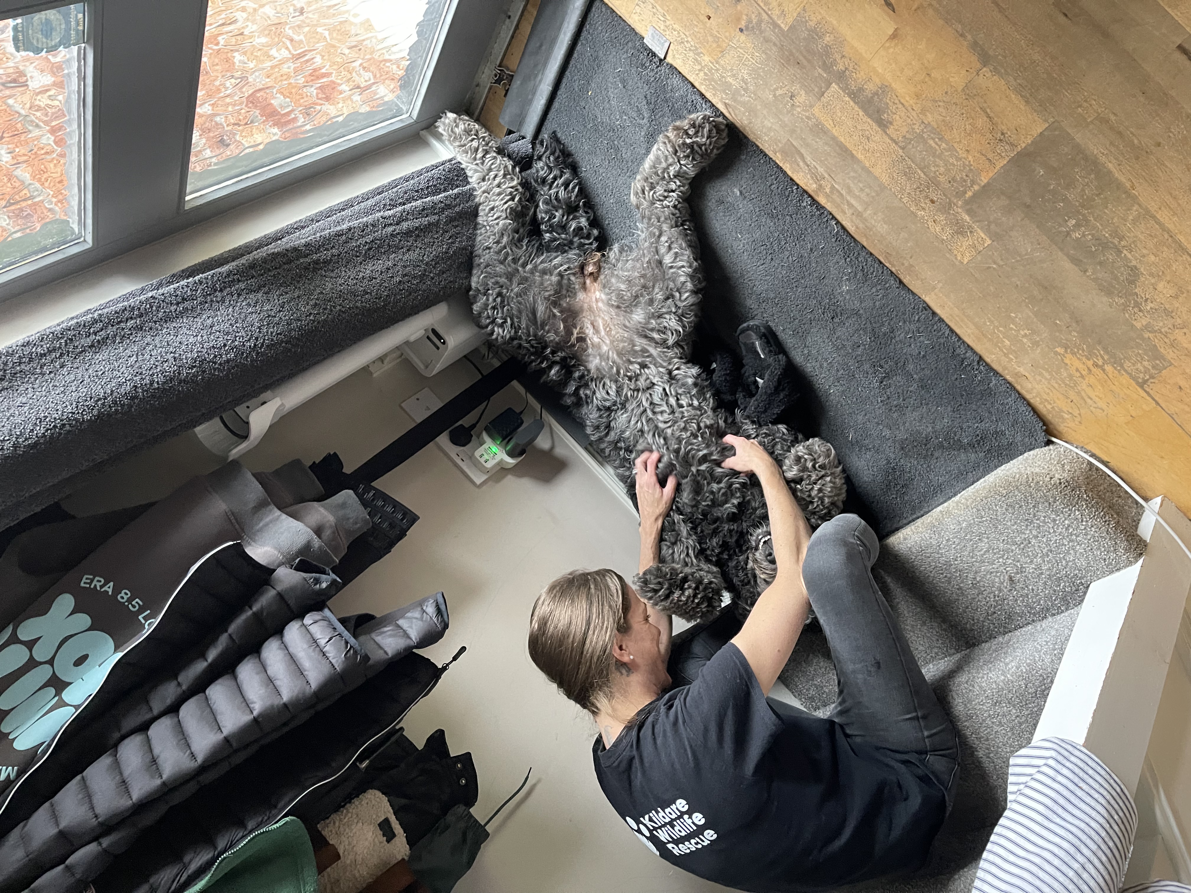 image-19