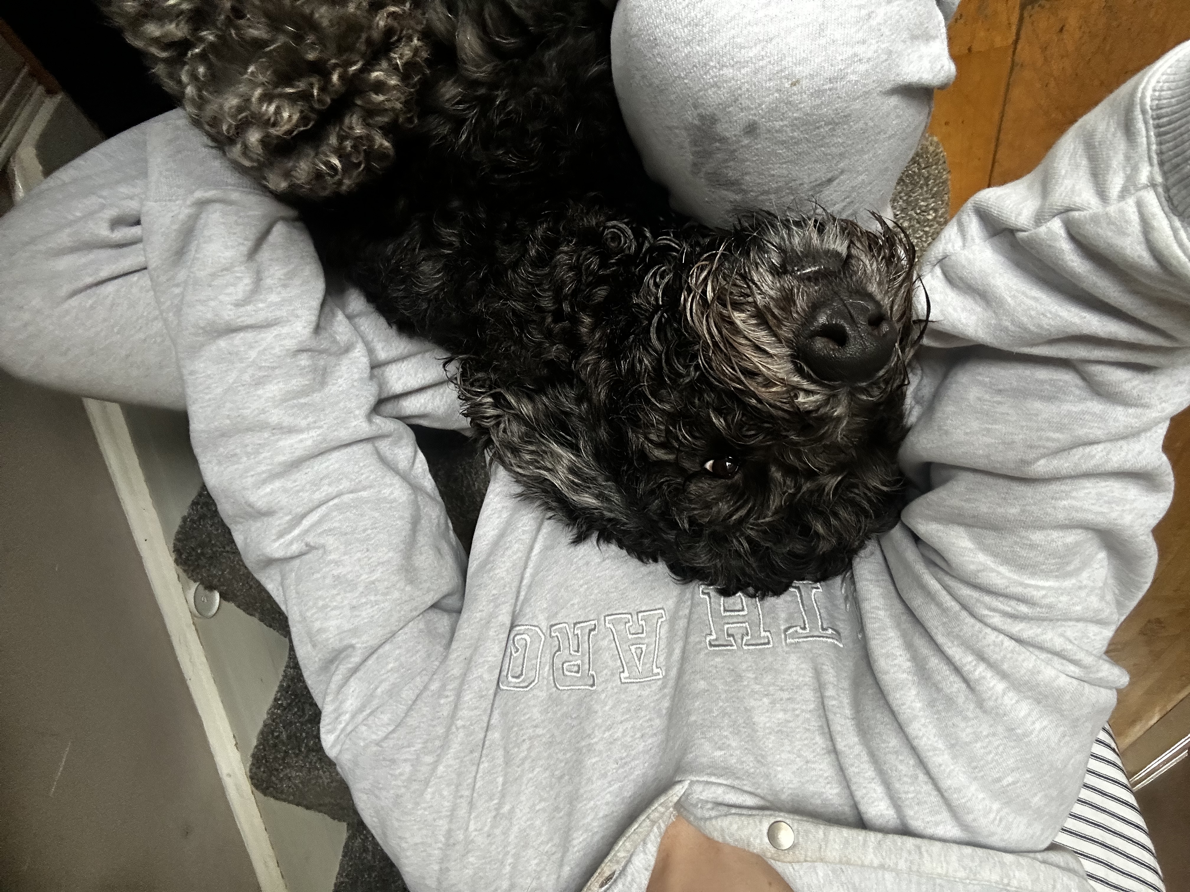 image-10