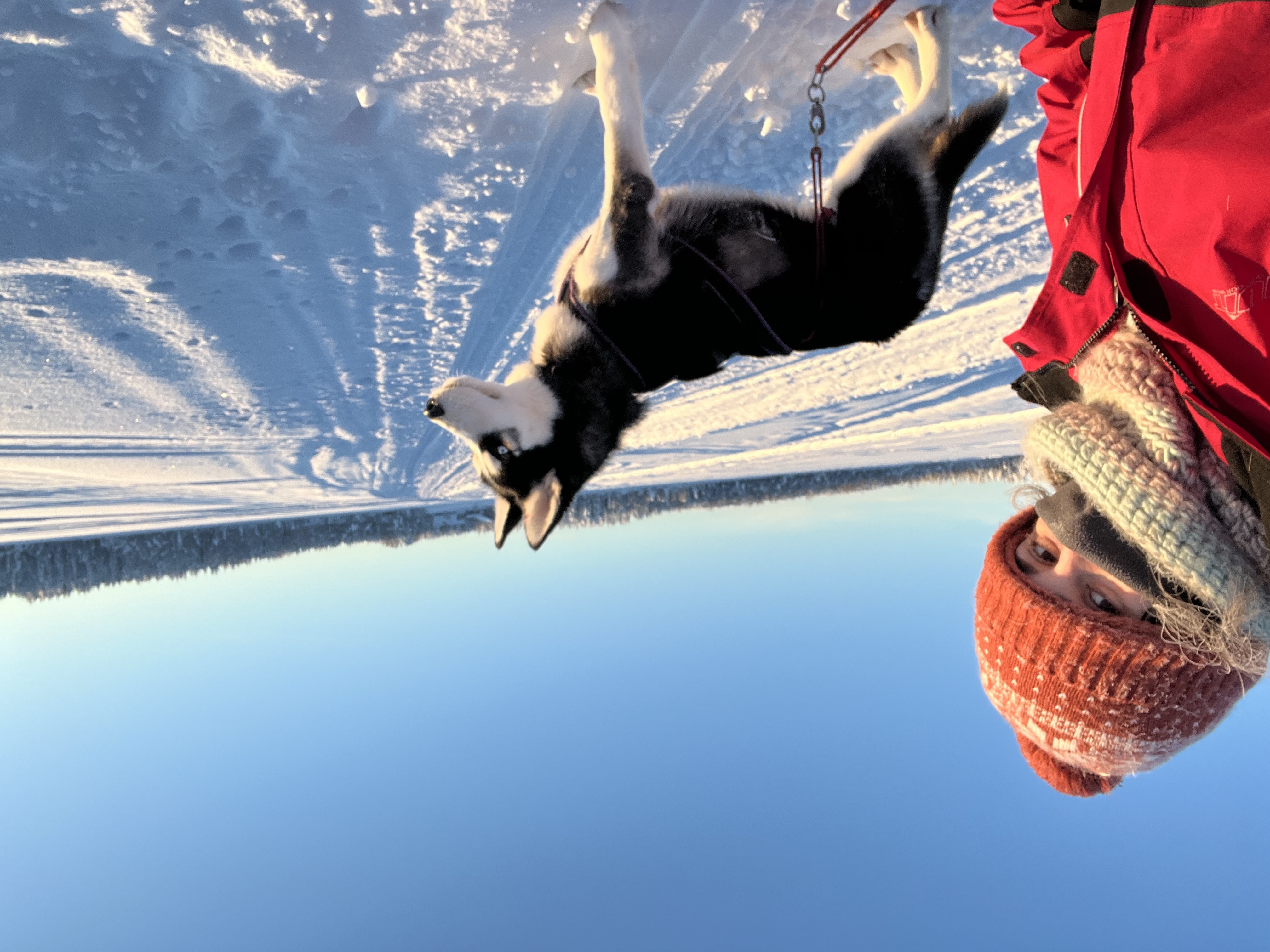 image-5