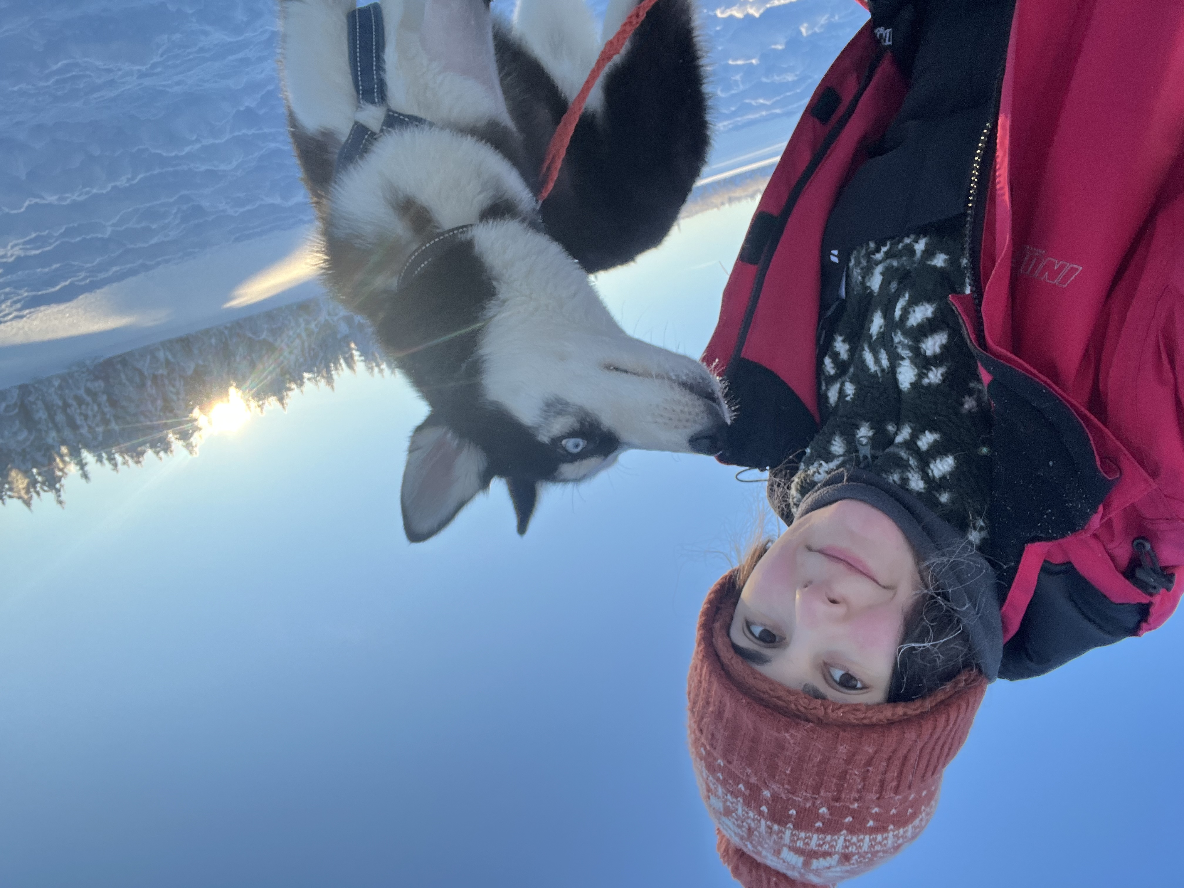 image-7