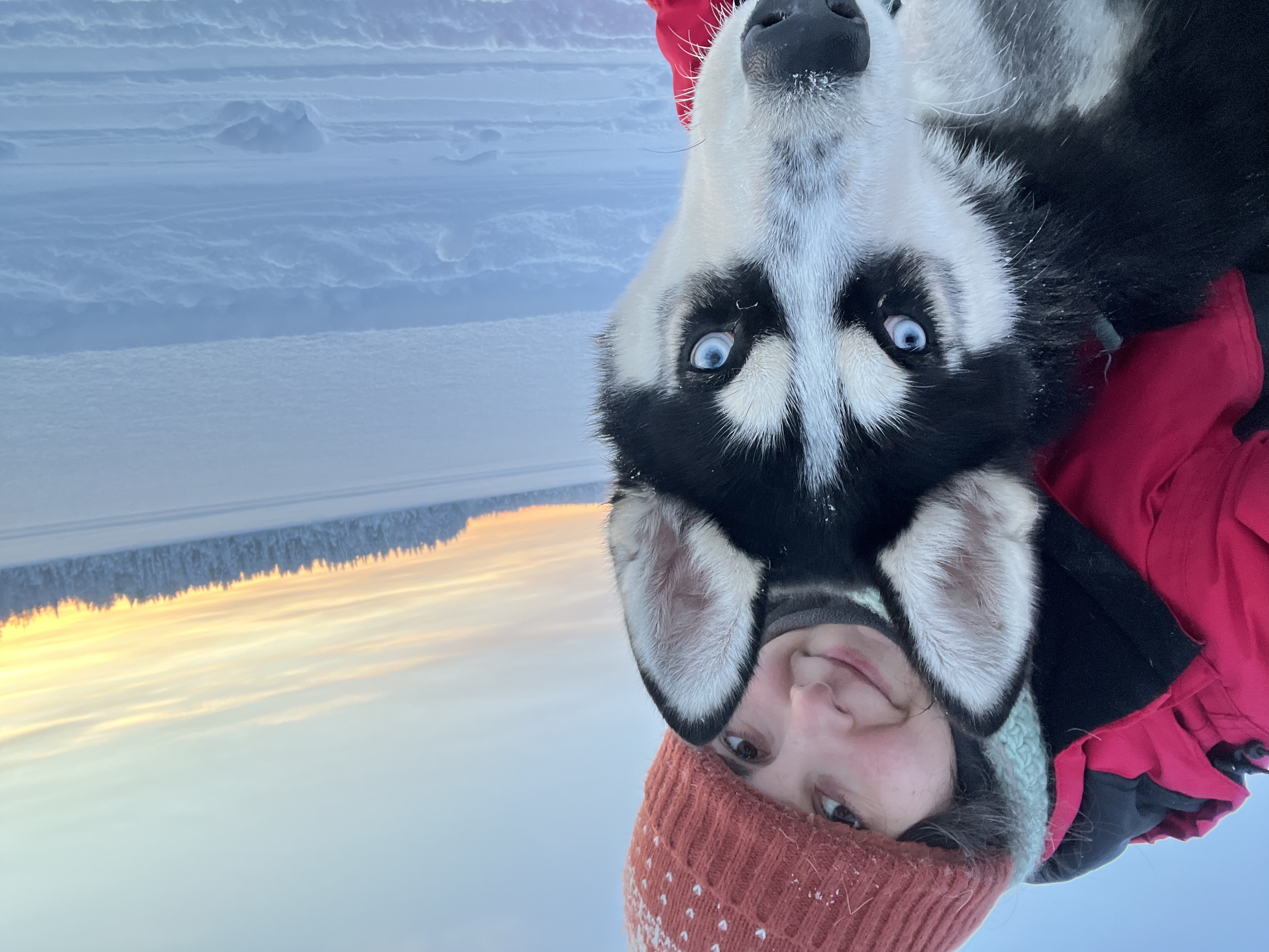 image-6