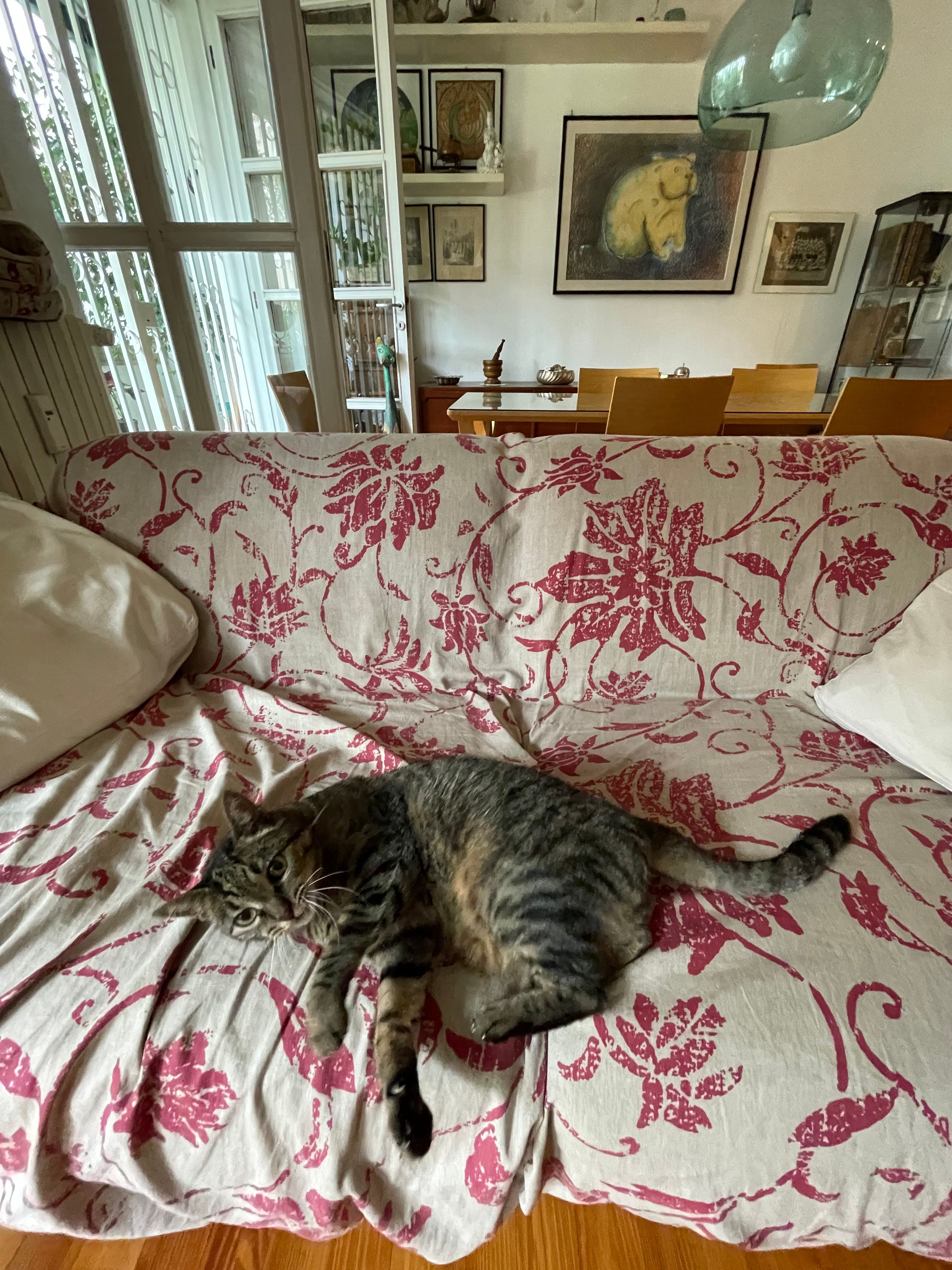 image-12