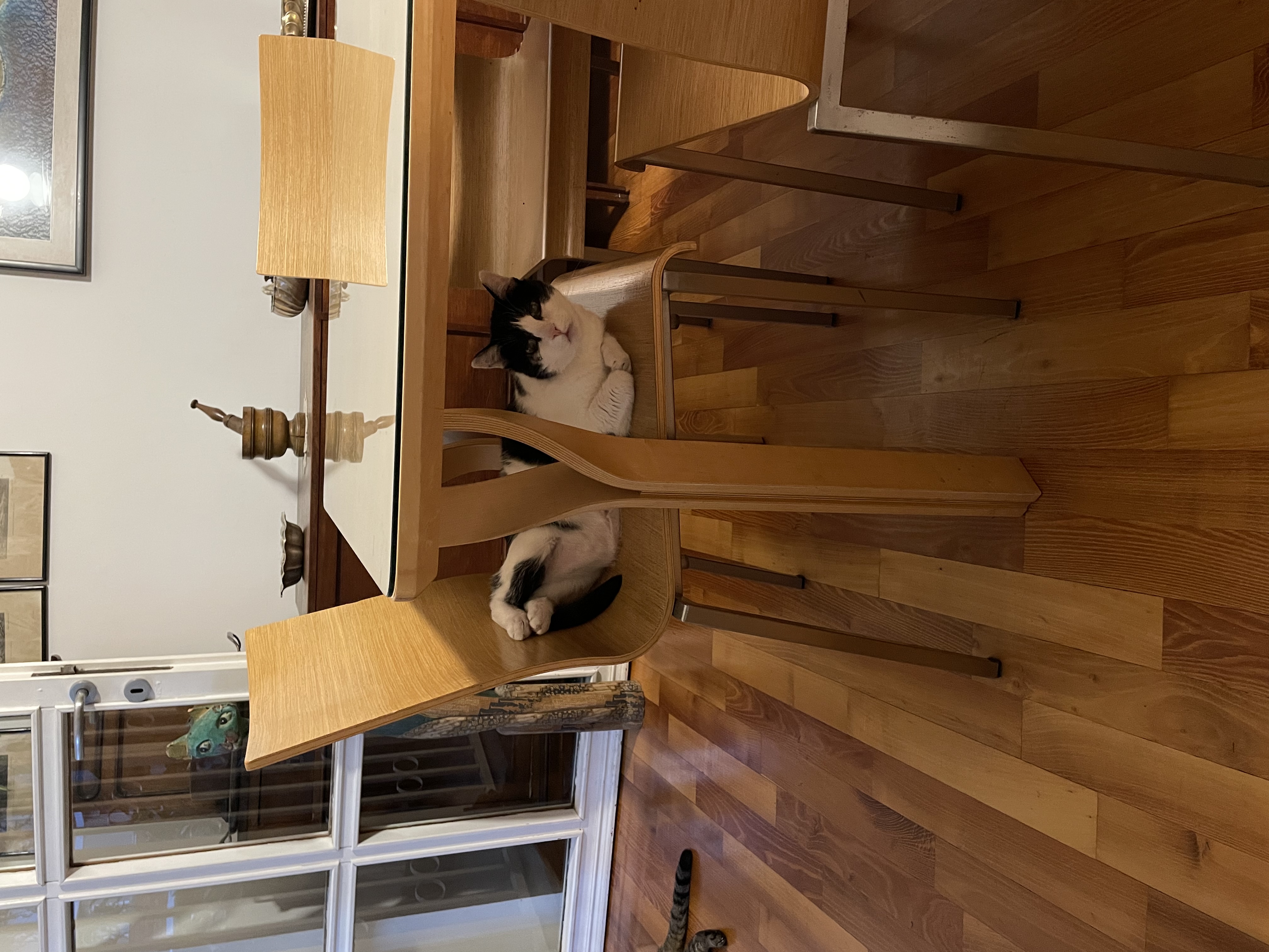 image-13