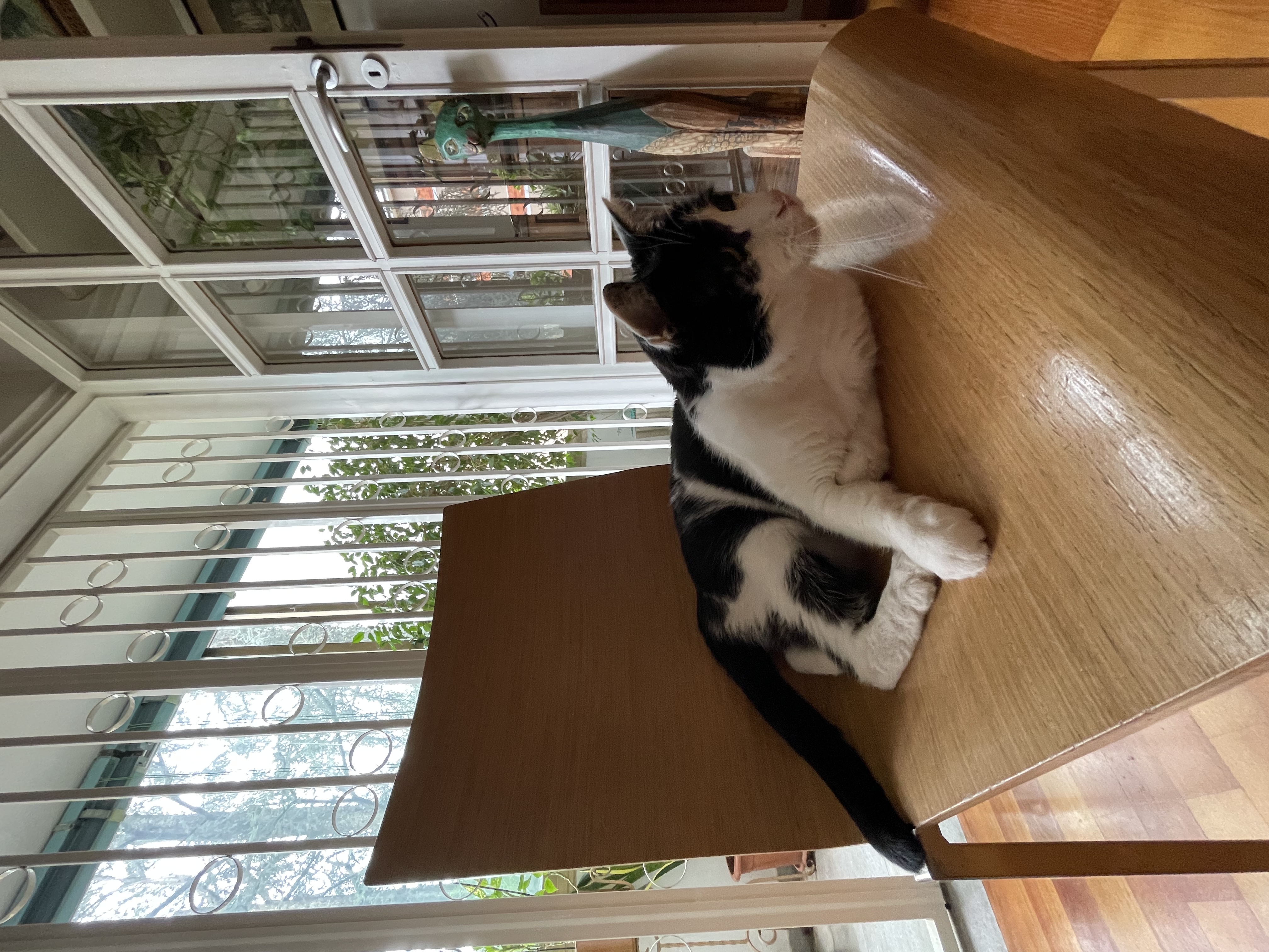 image-11