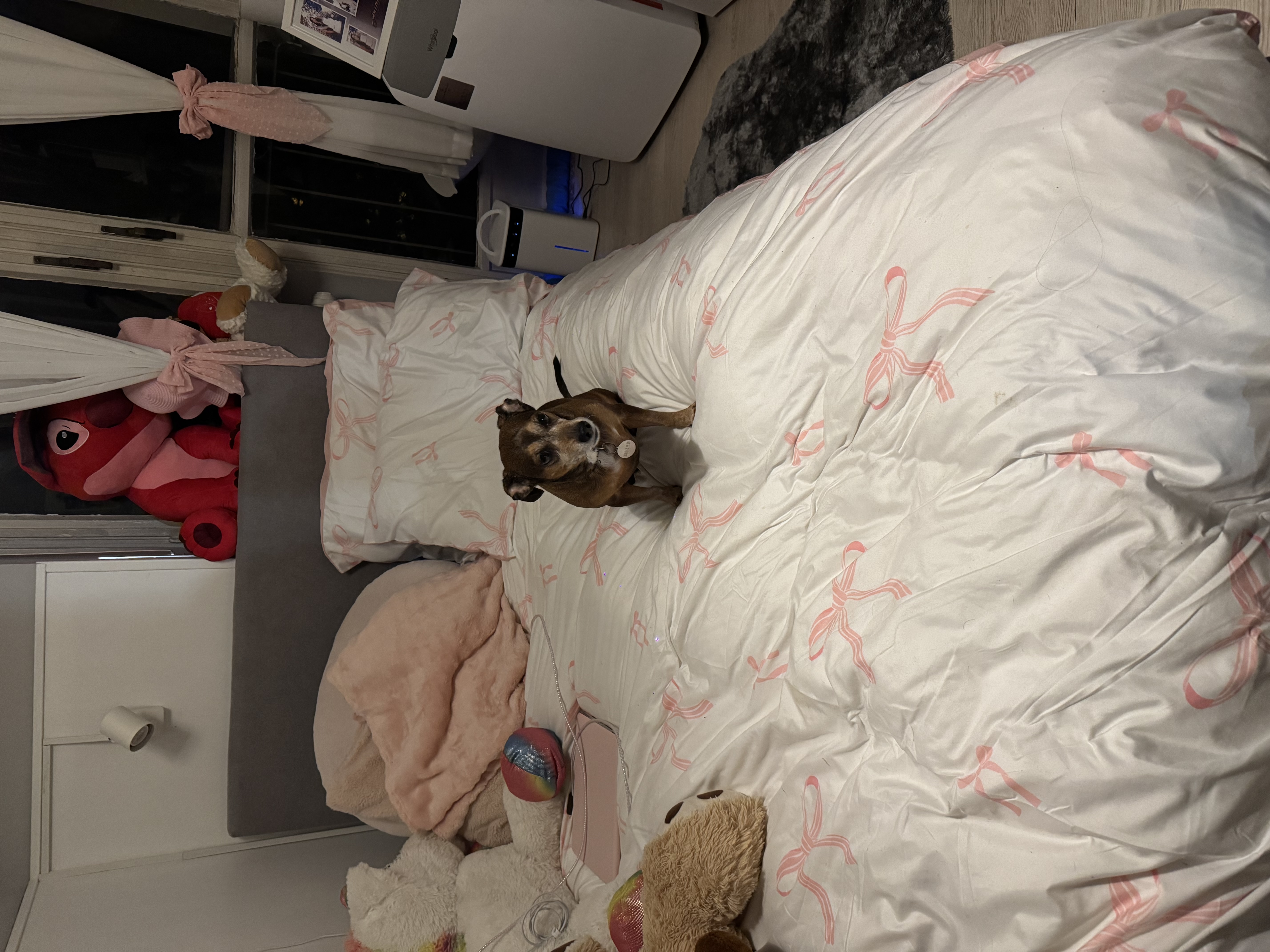 image-8