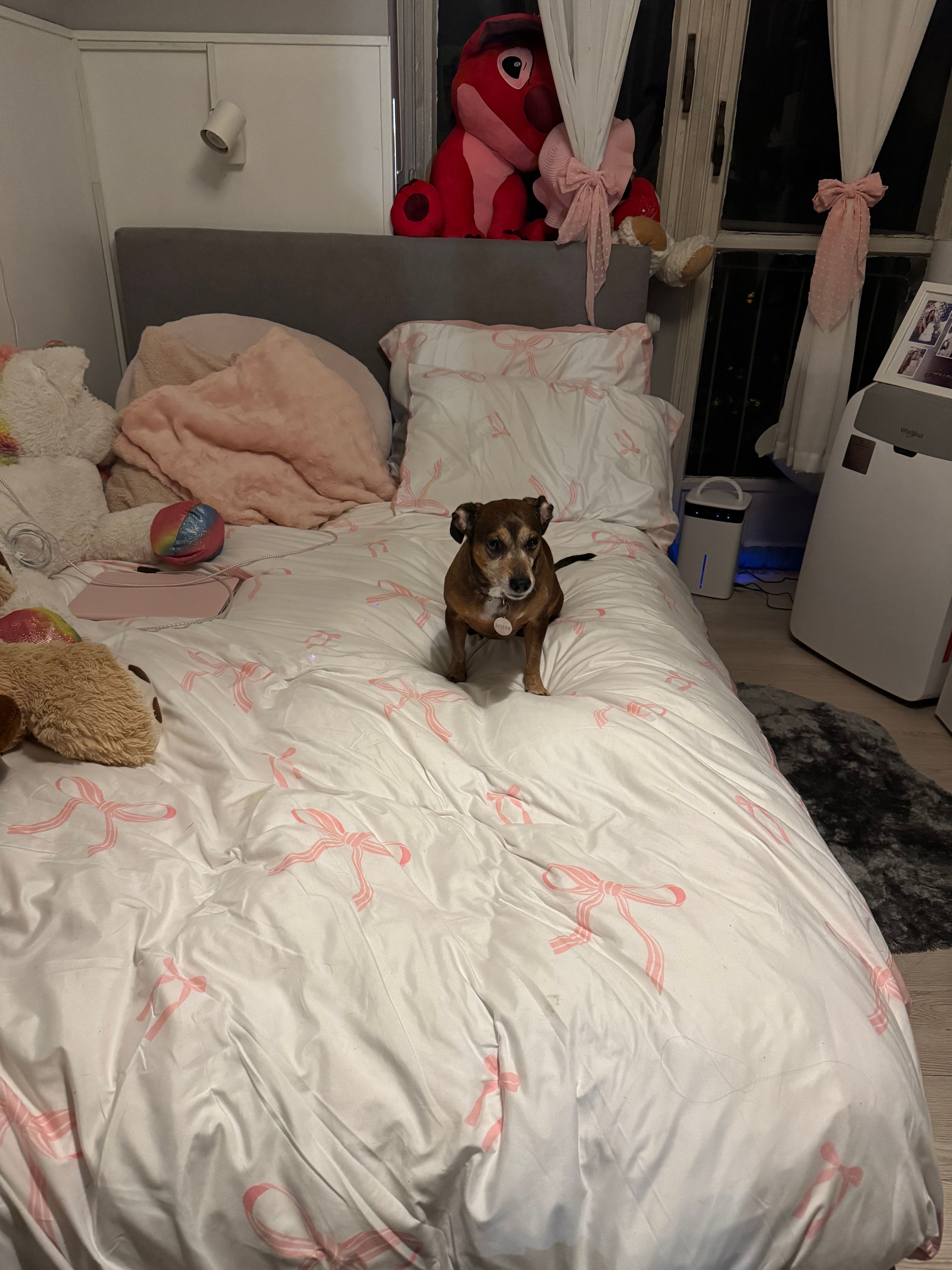 image-8