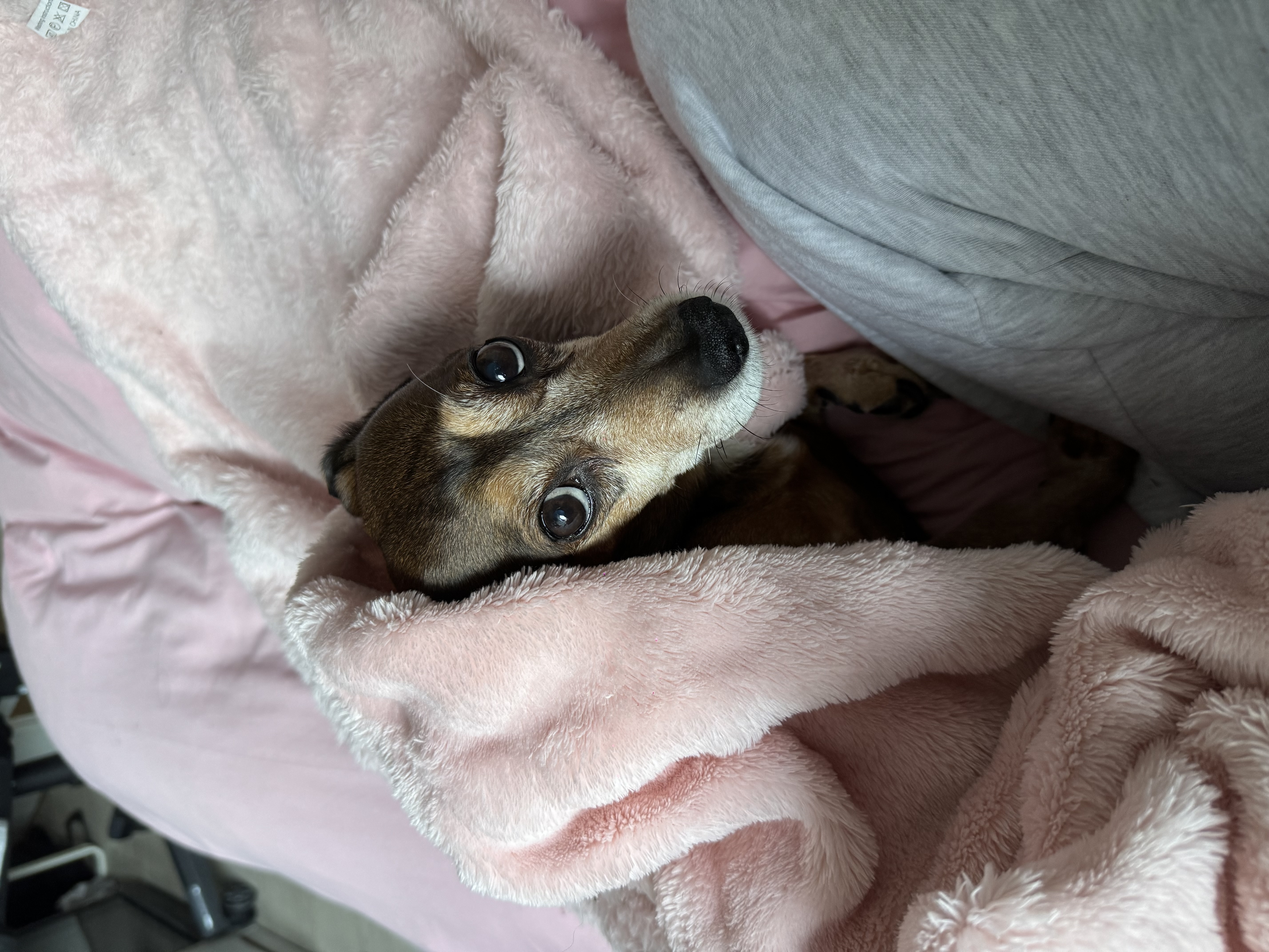 image-6