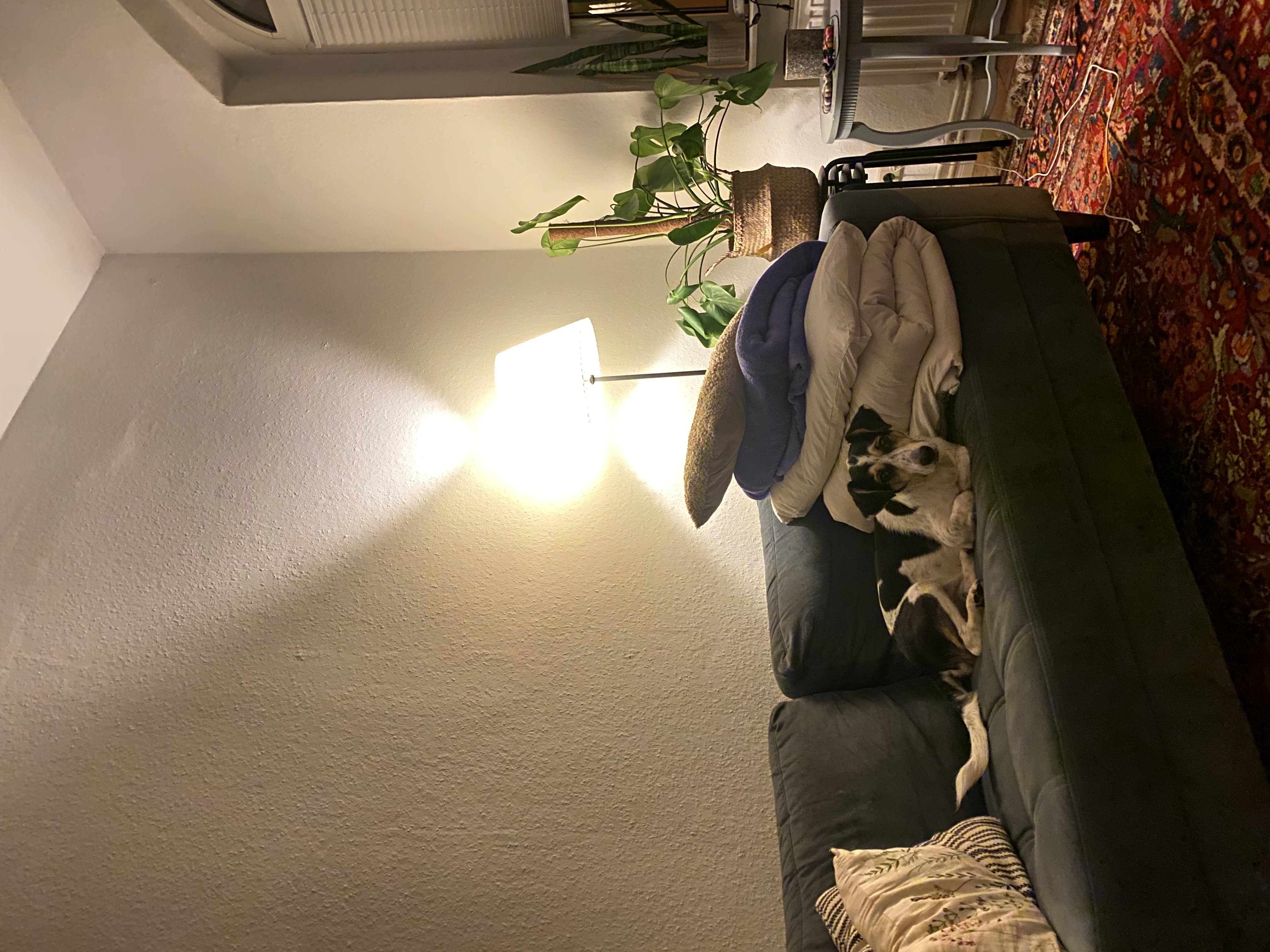 image-6