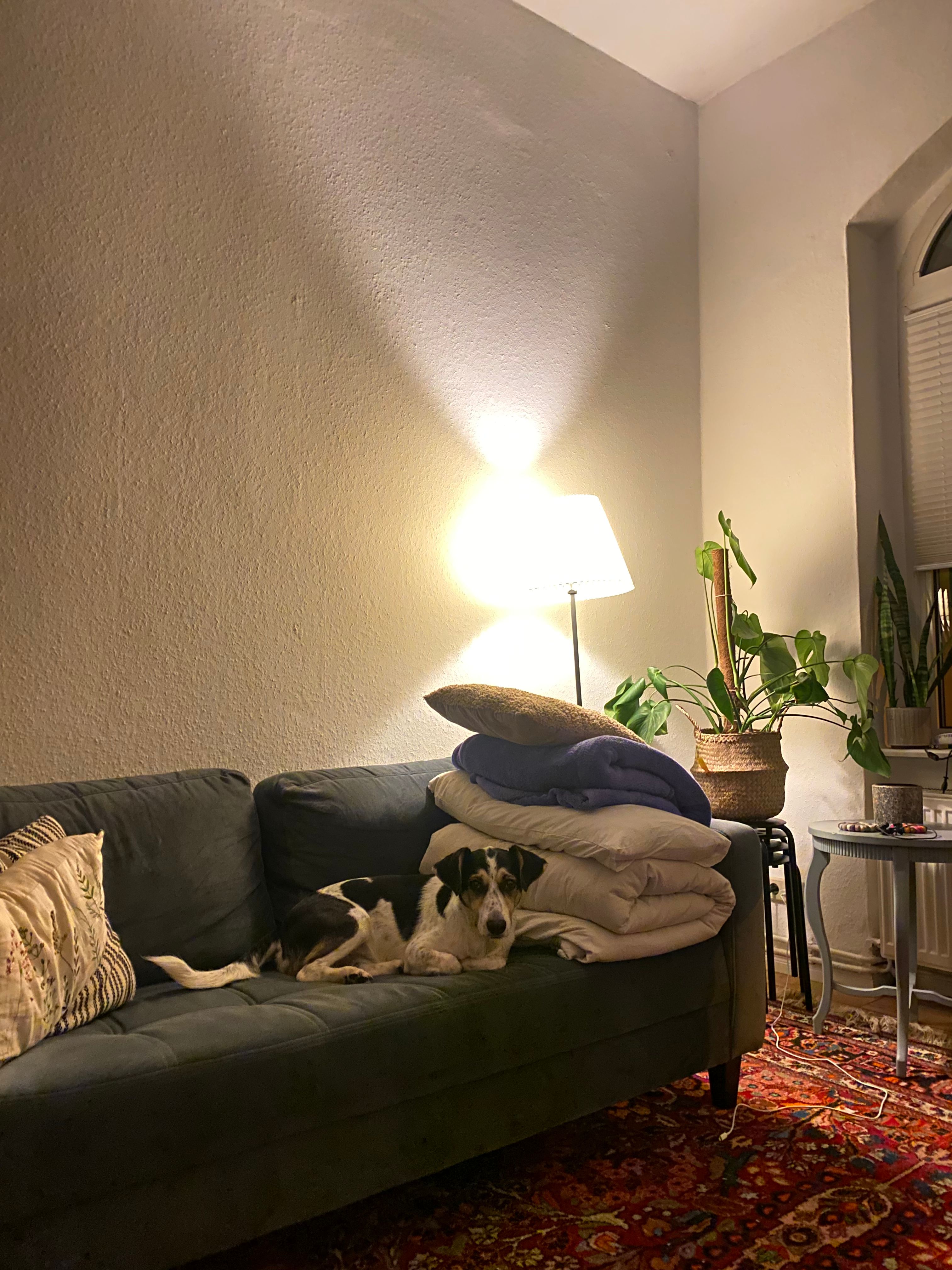 image-6