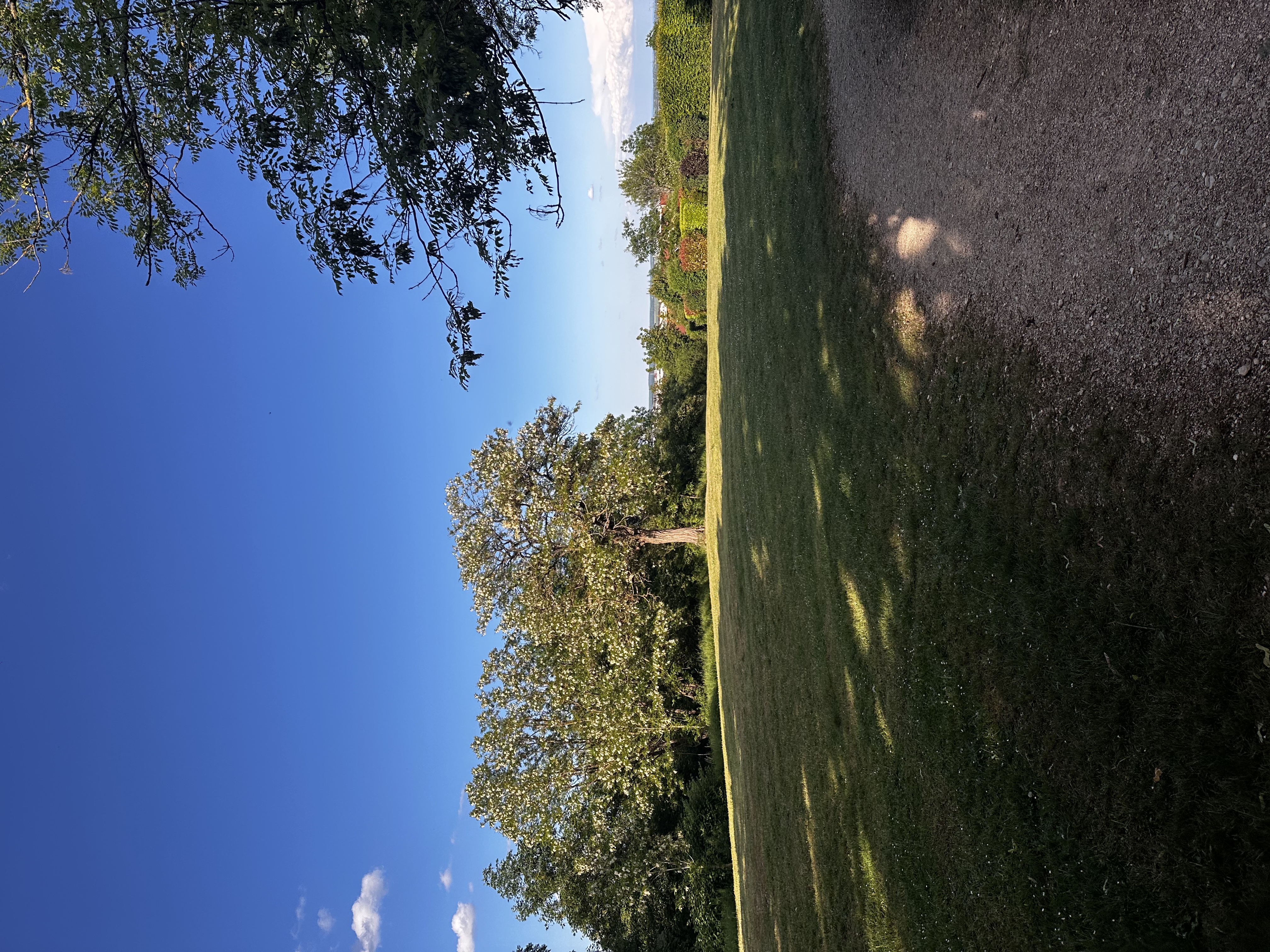 image-23