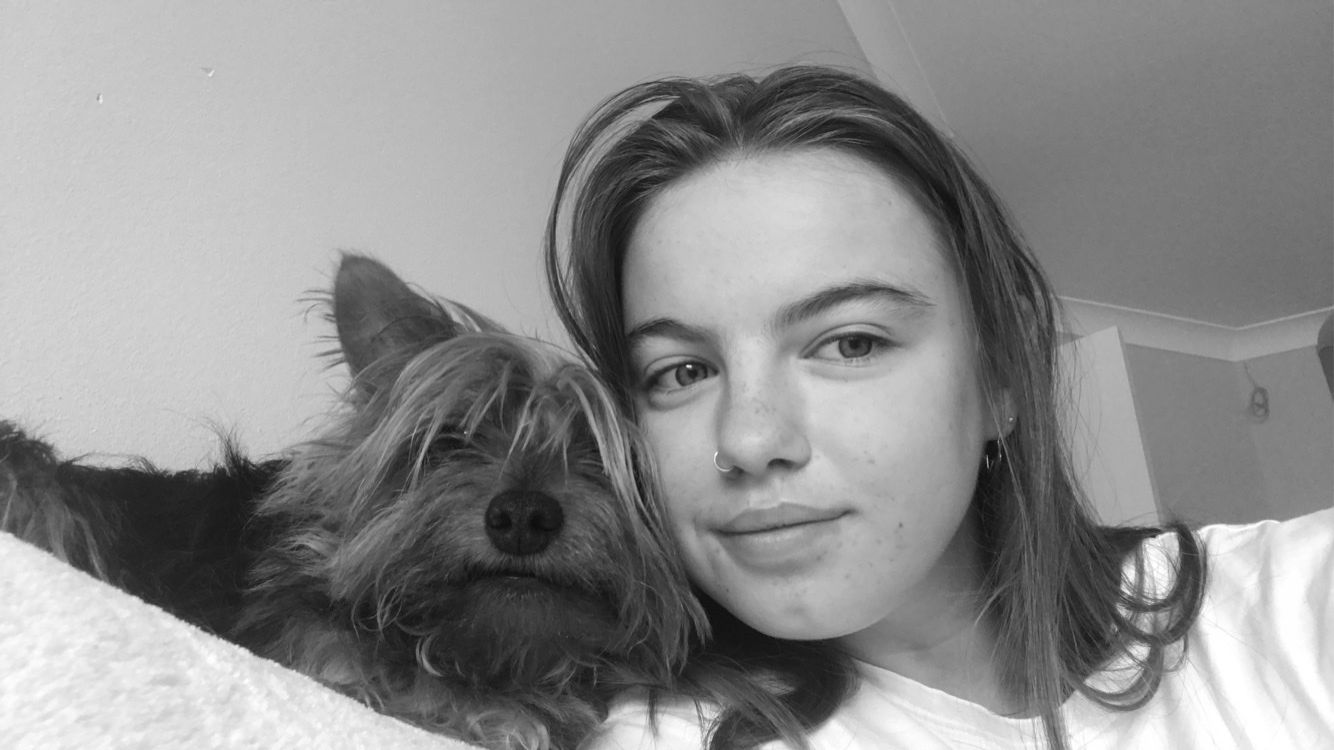 image-6