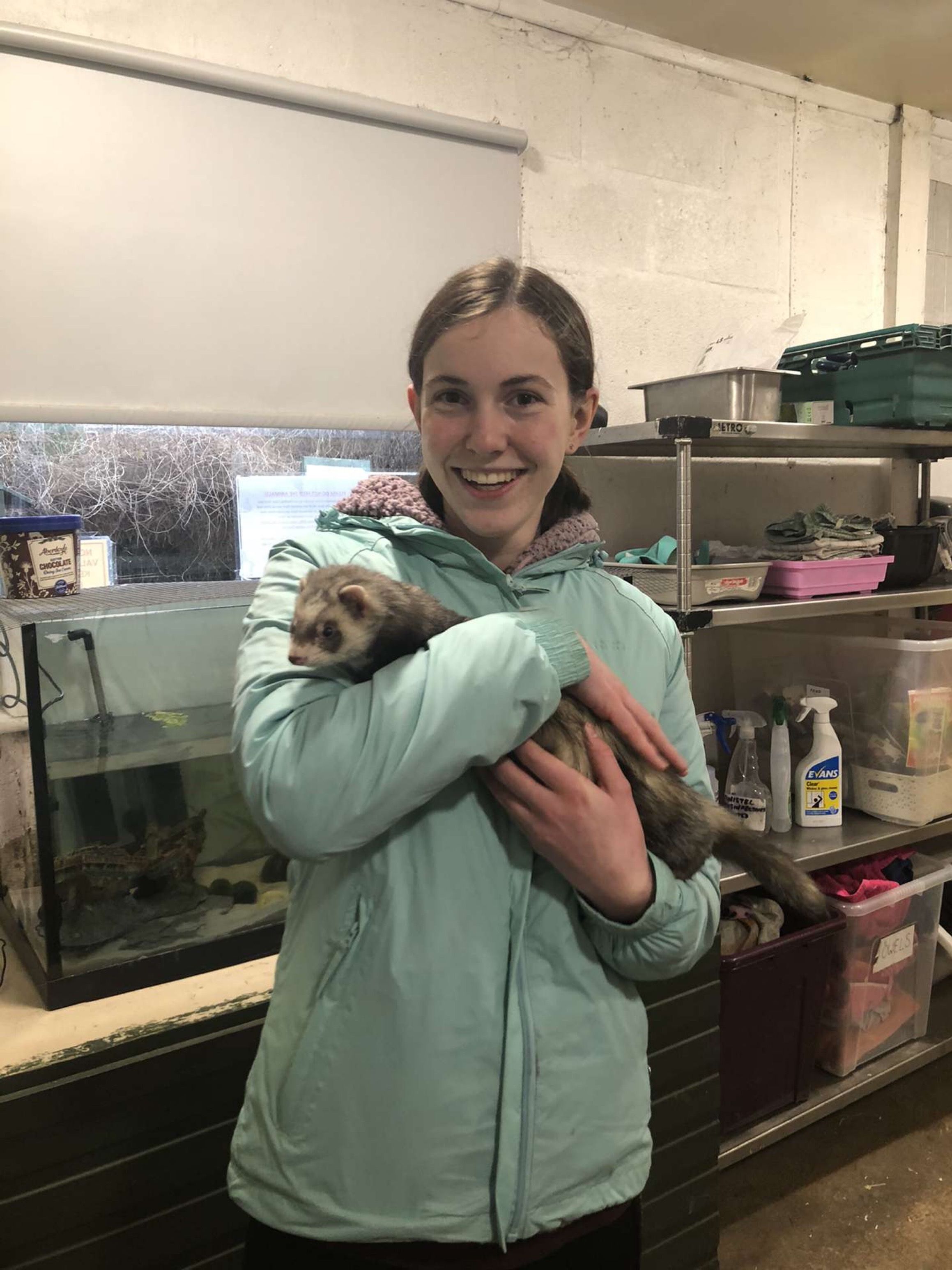 image-3