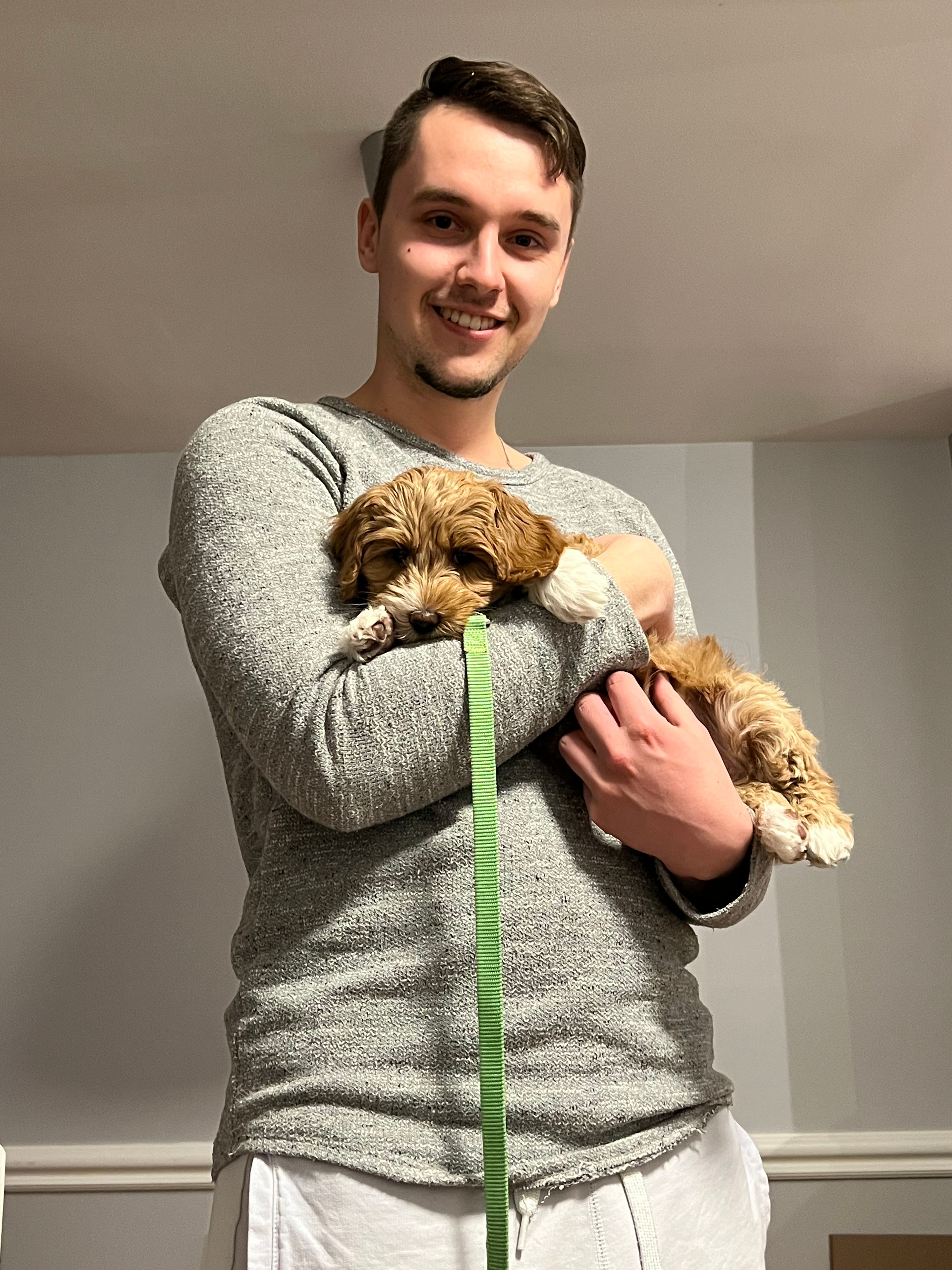 image-1
