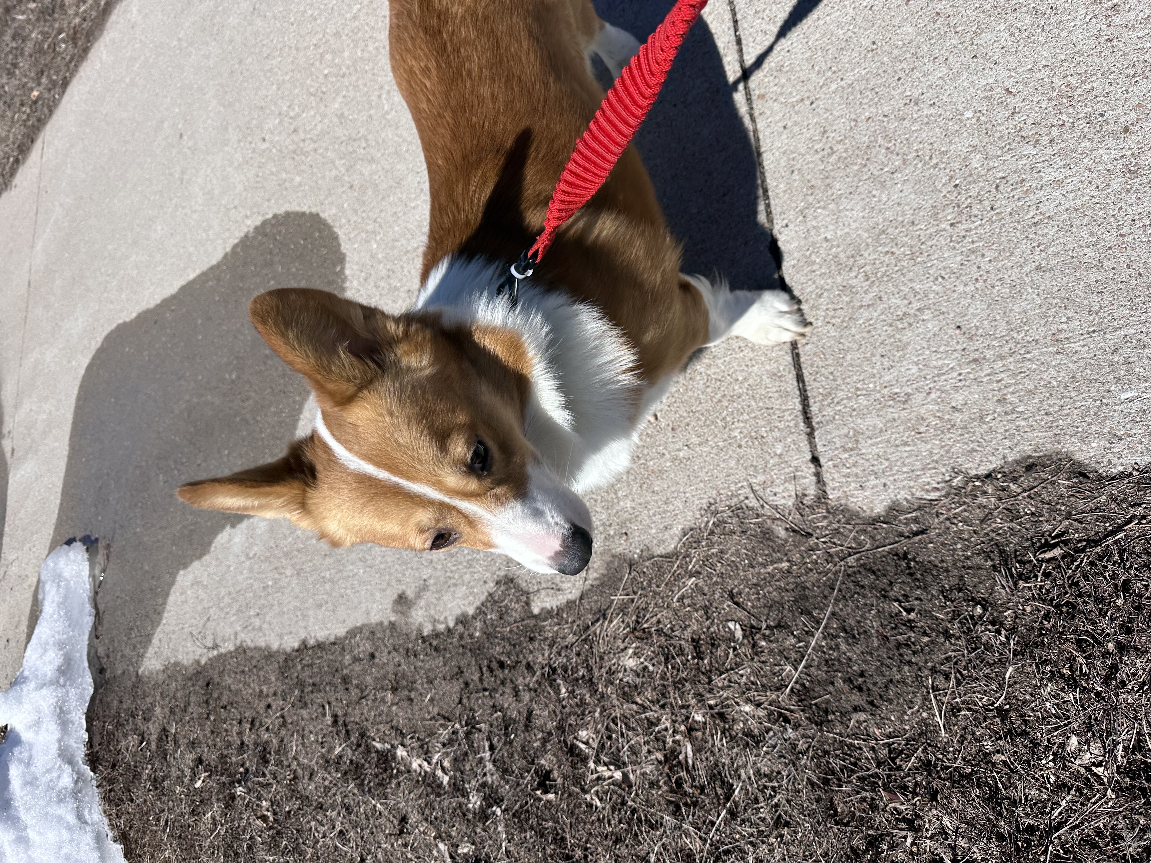 image-7