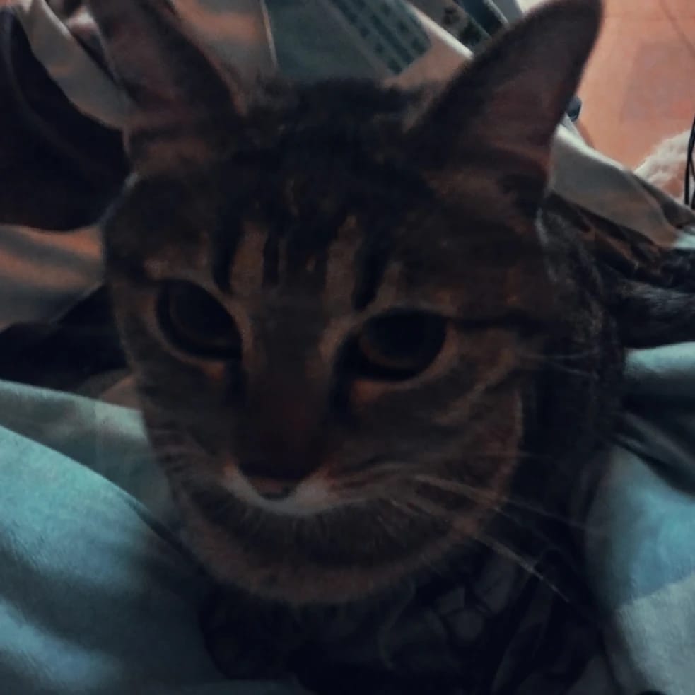 Gigi