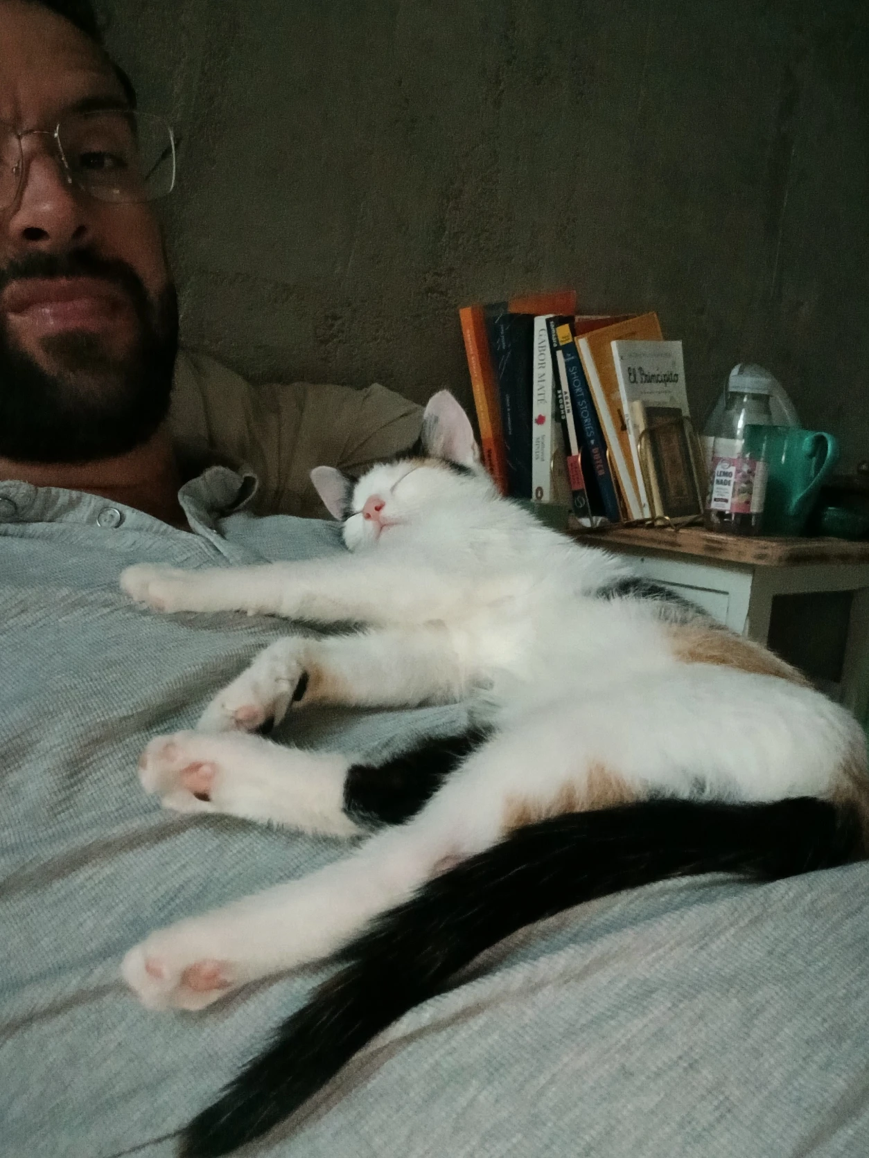image-6