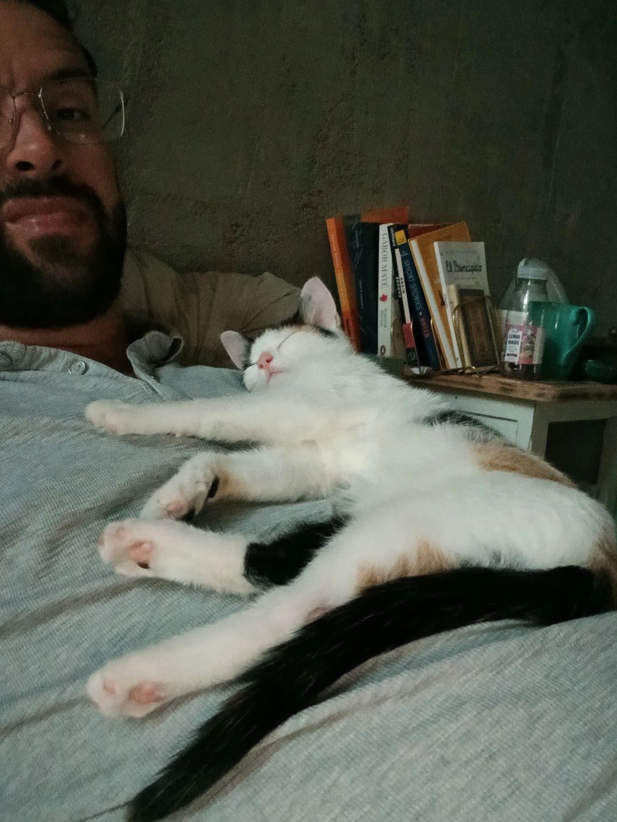 image-6