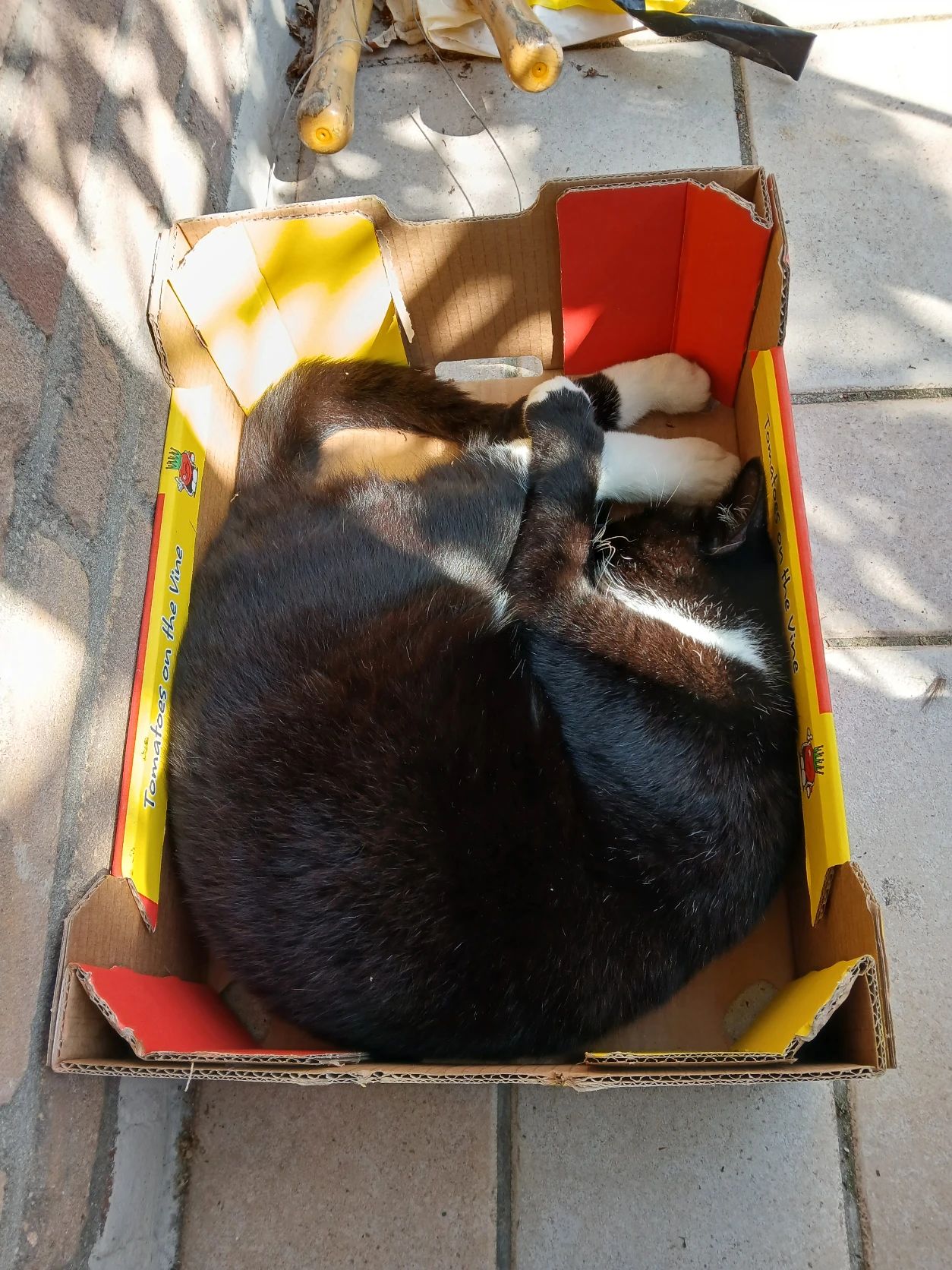 image-8
