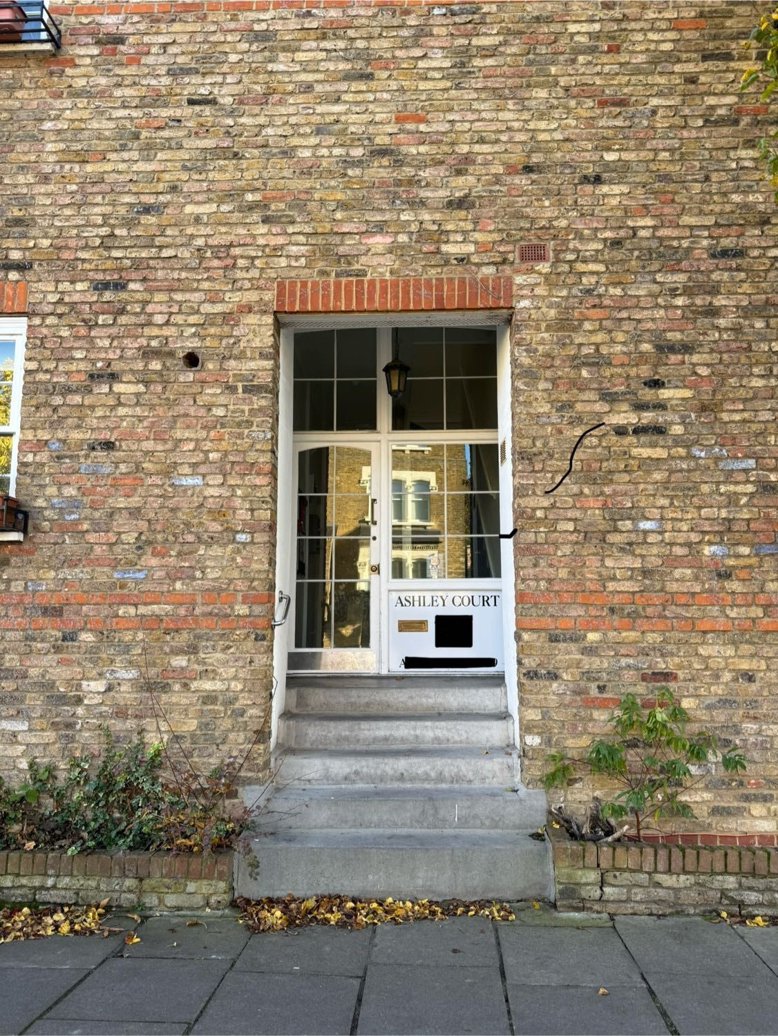 image-11
