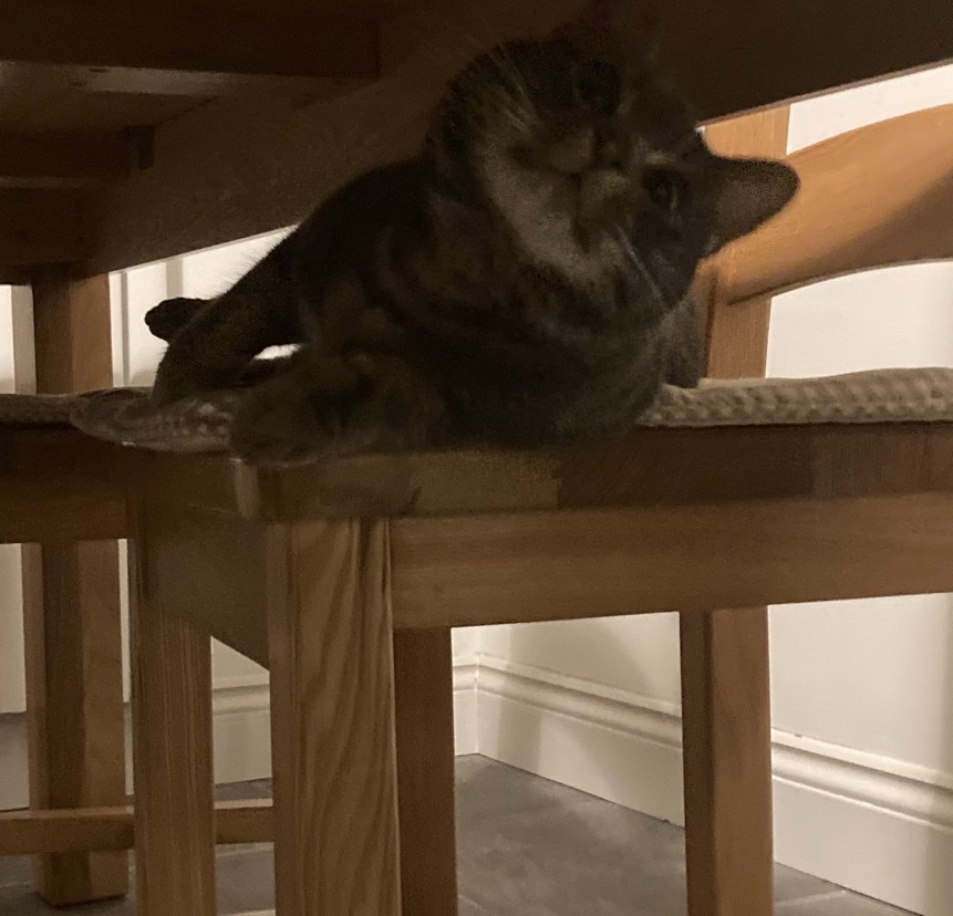 image-6