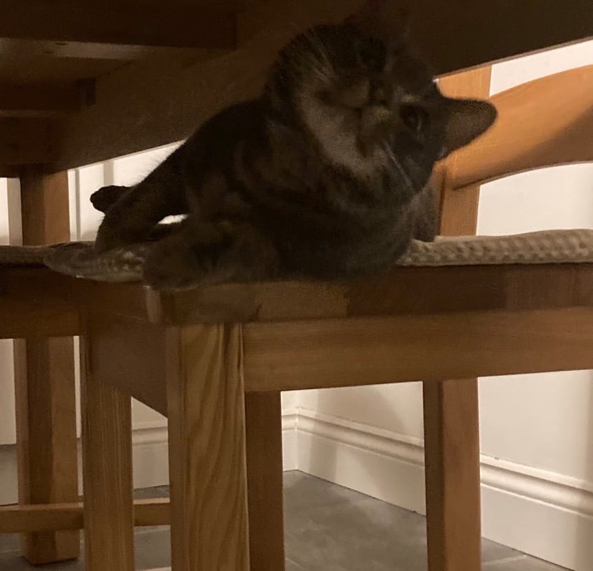 image-6
