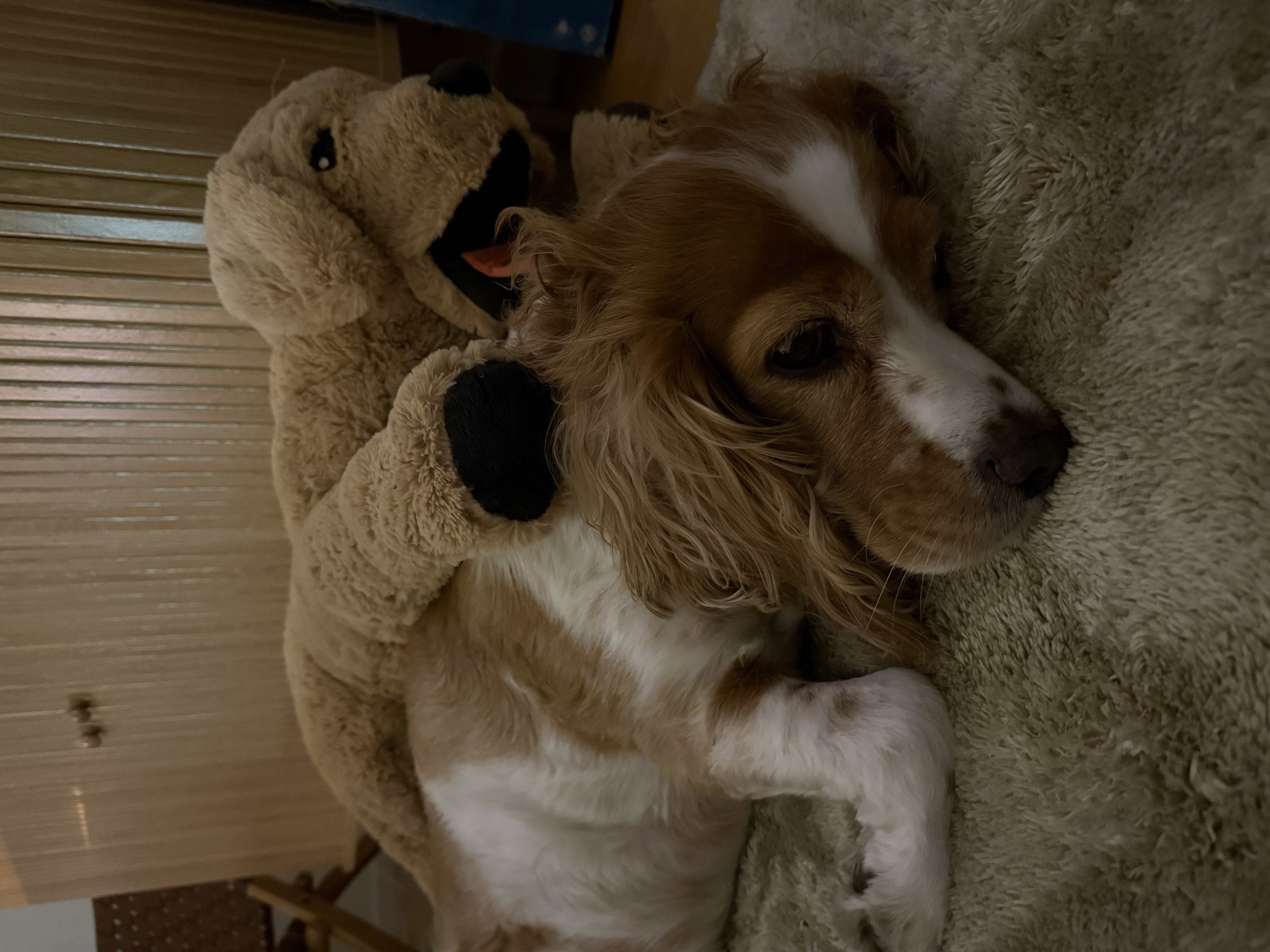 image-12