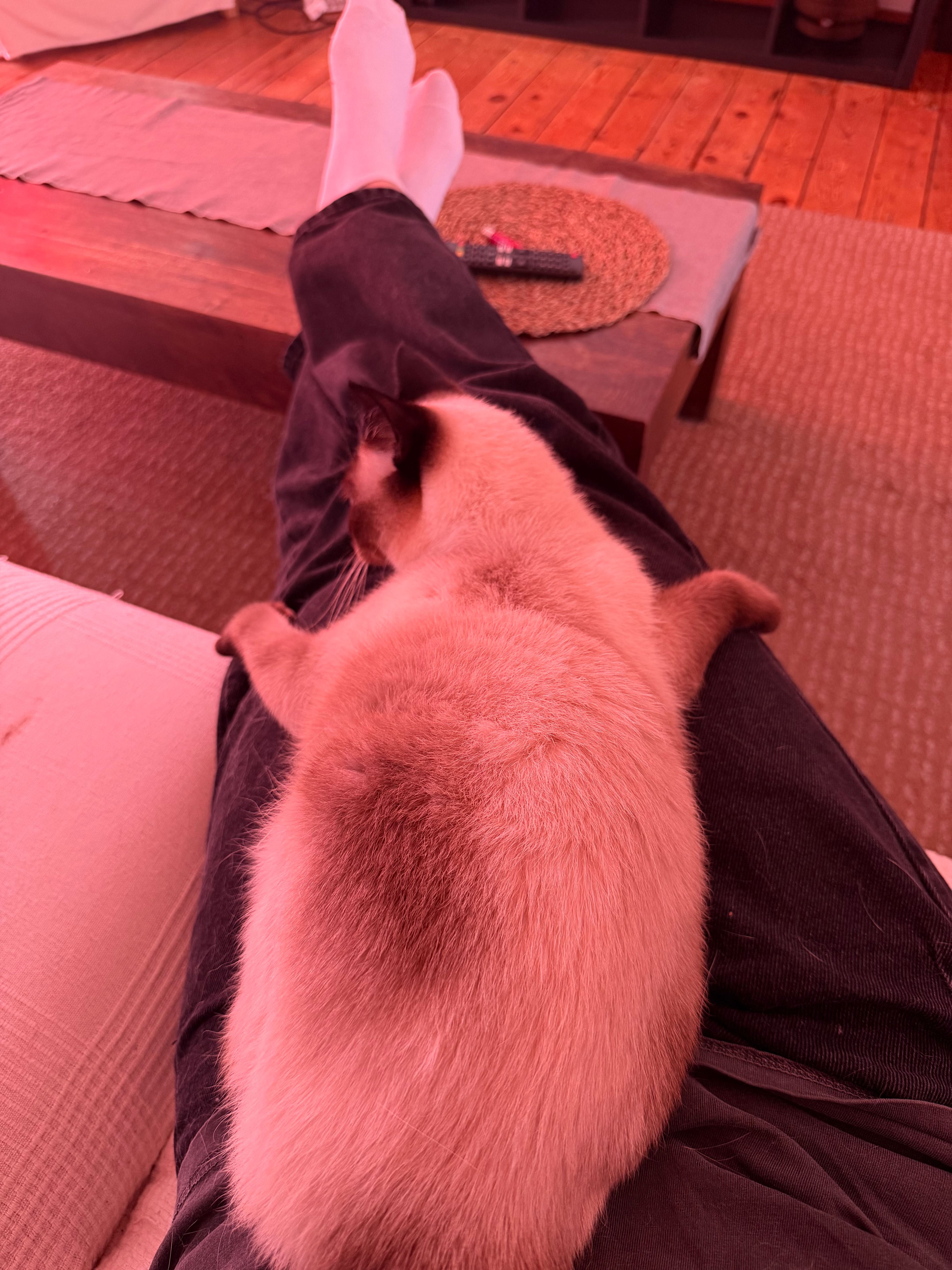 image-10