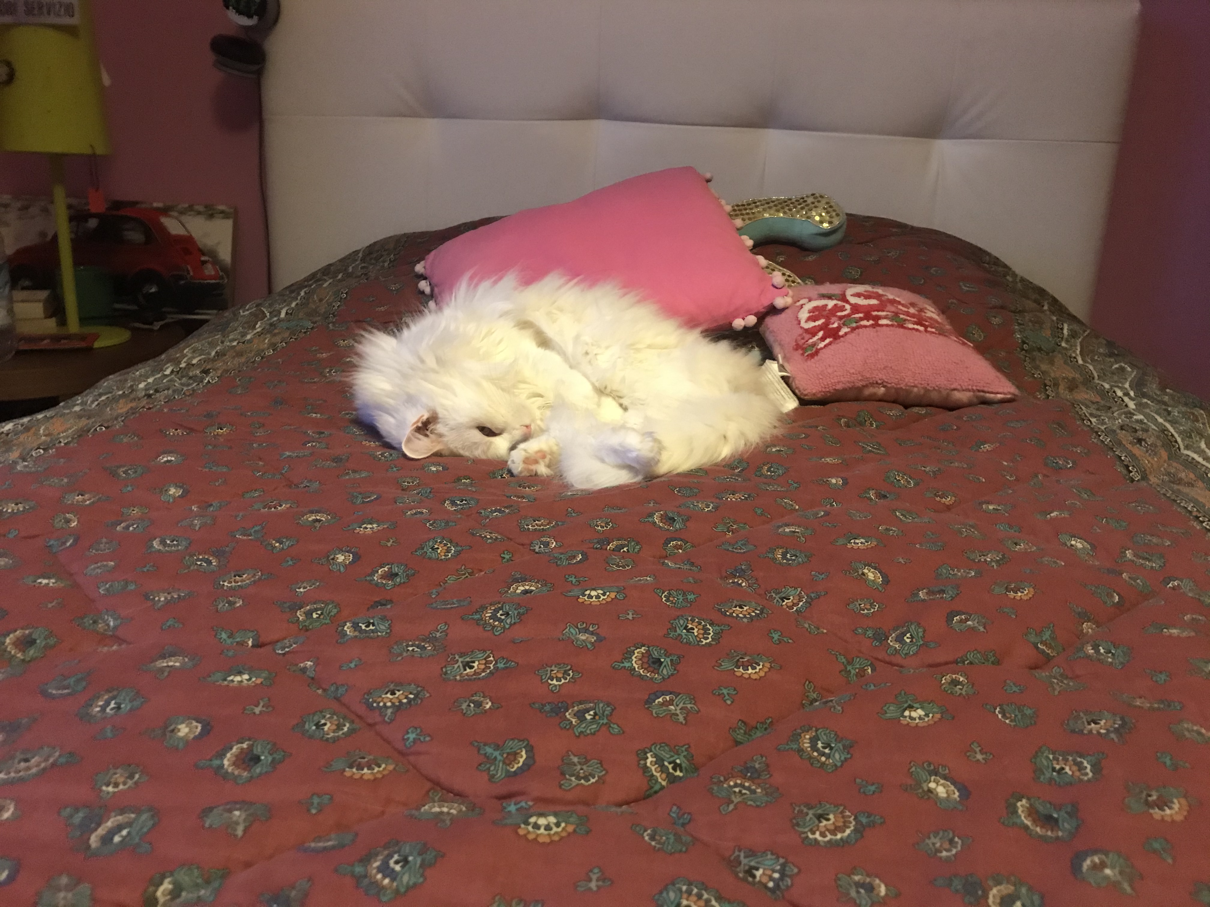 image-6