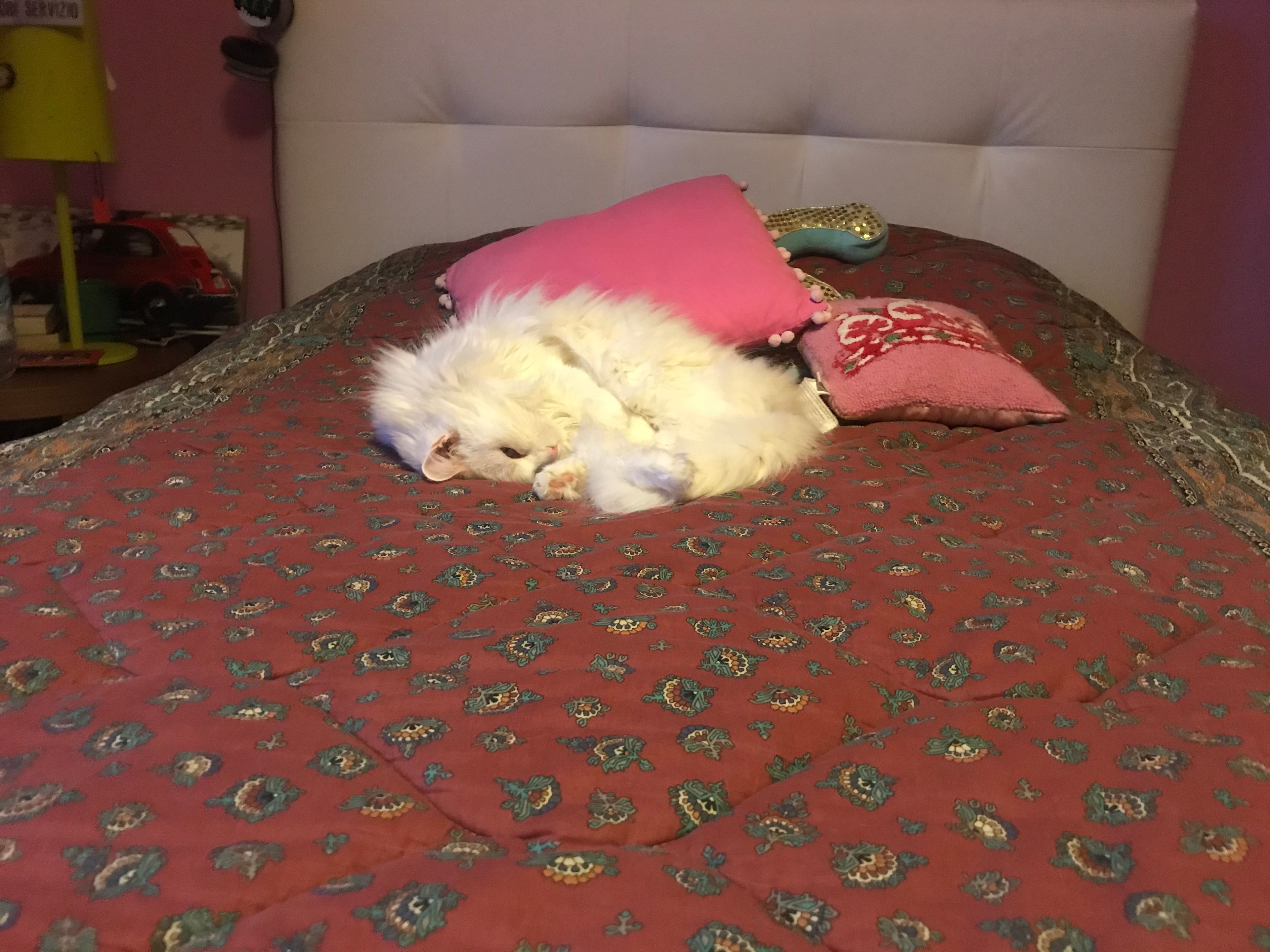 image-6