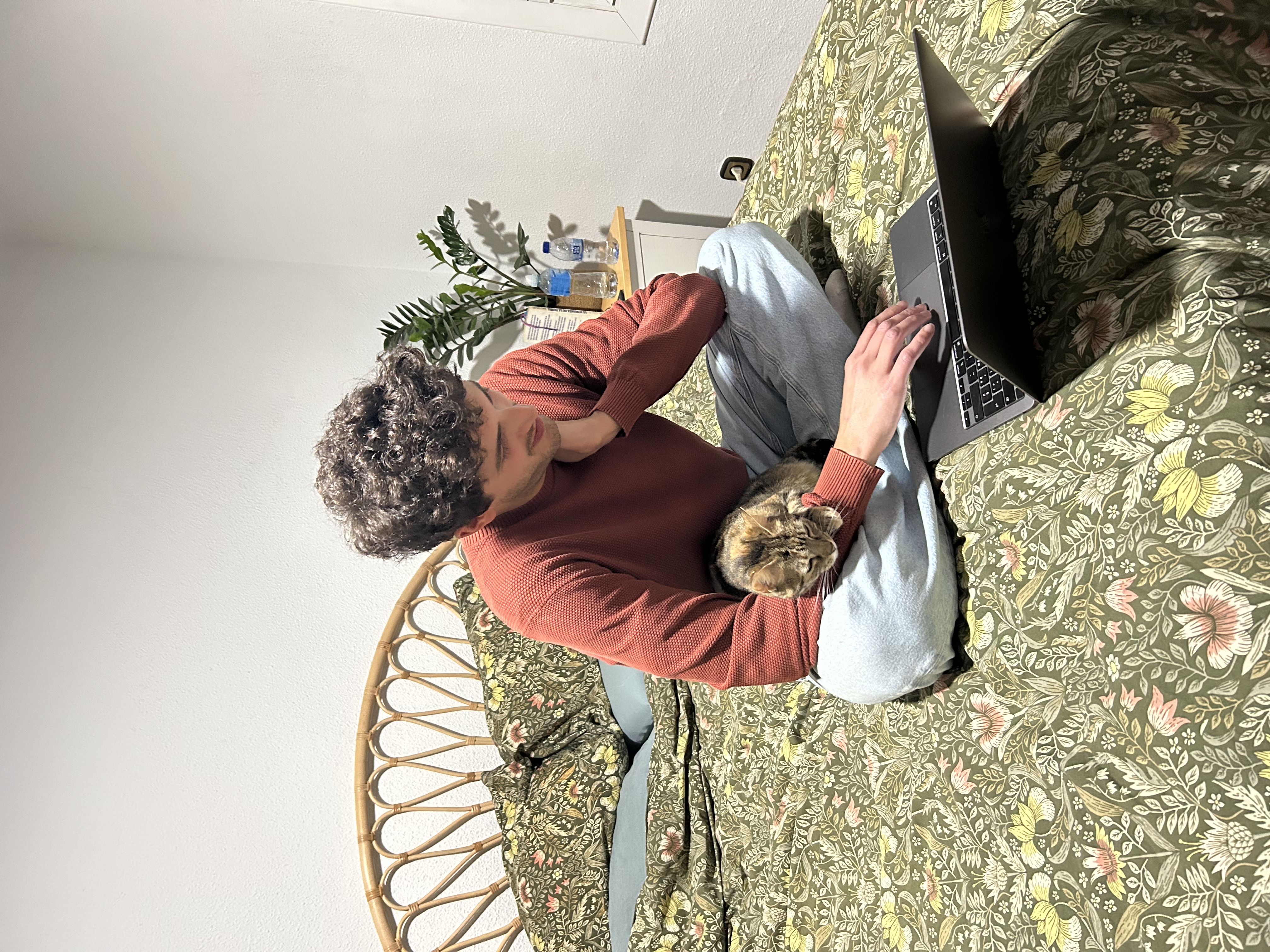 image-7