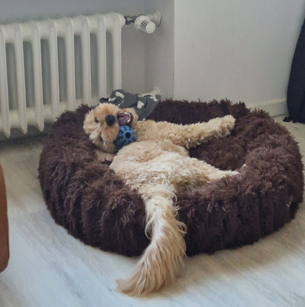 image-7