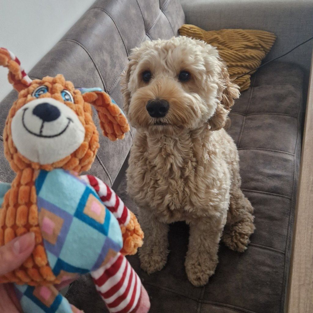 Leo