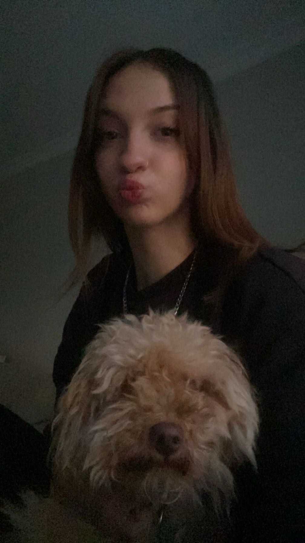 image-6