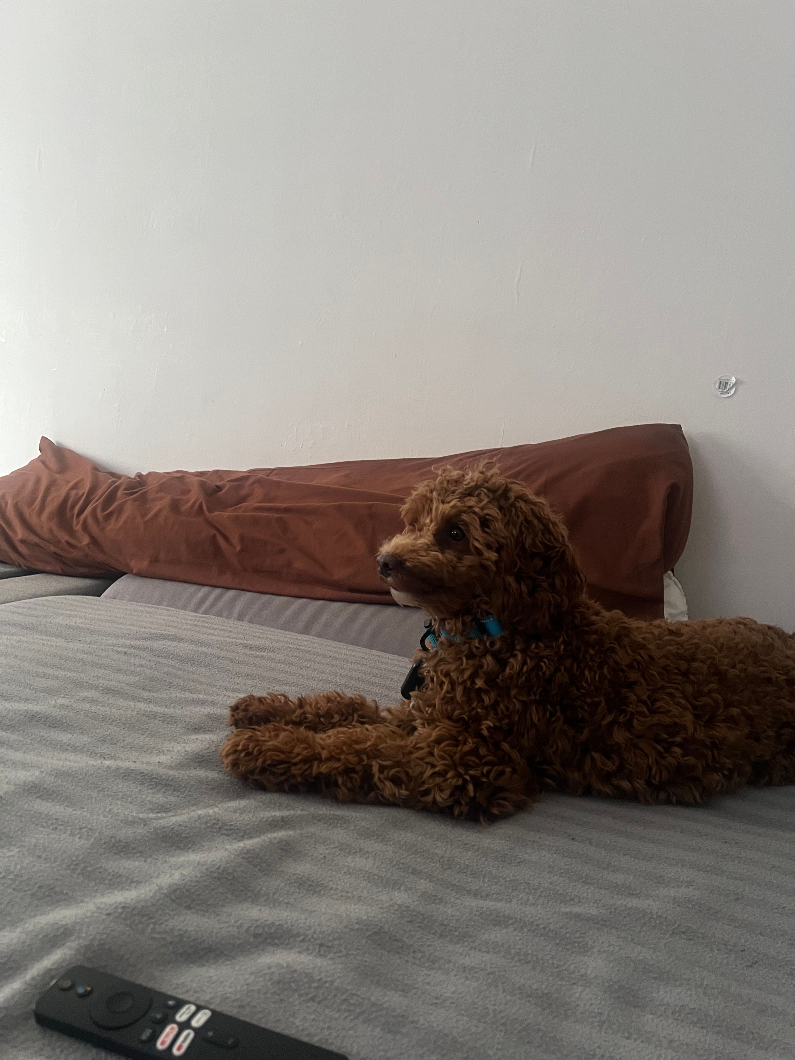 image-4