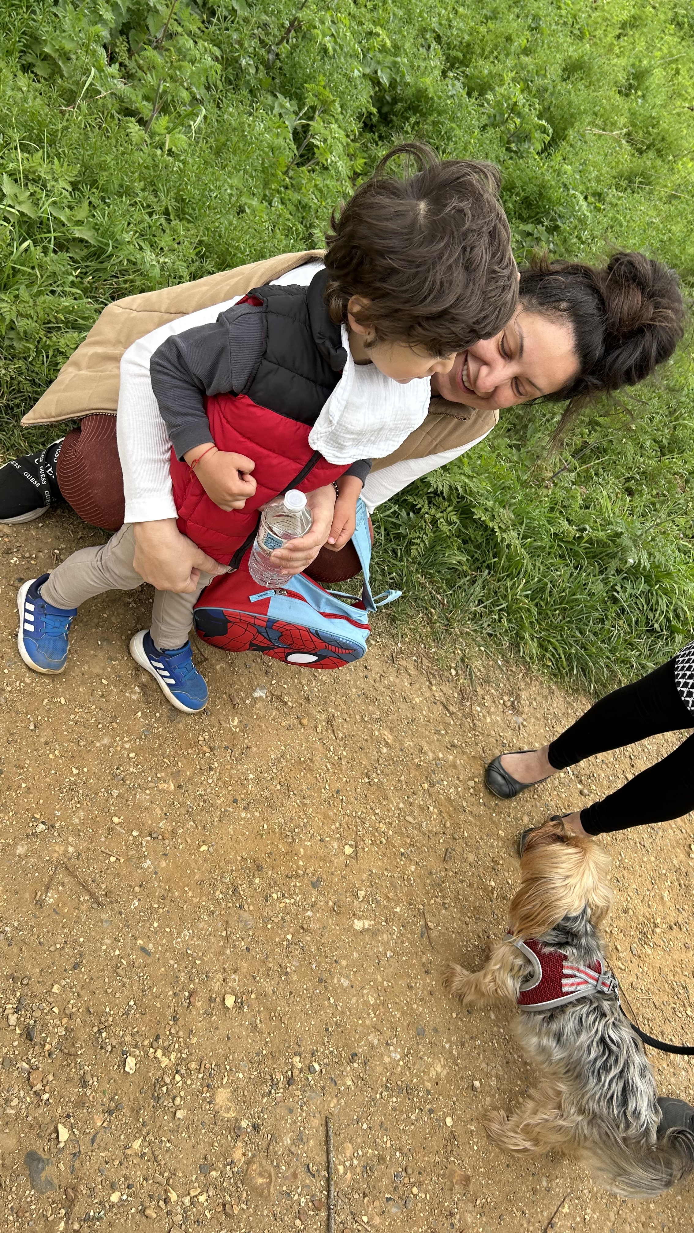 image-12