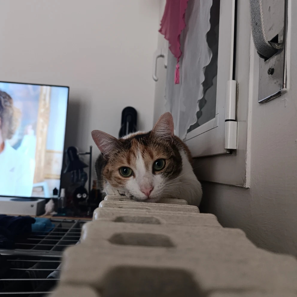 Sophie