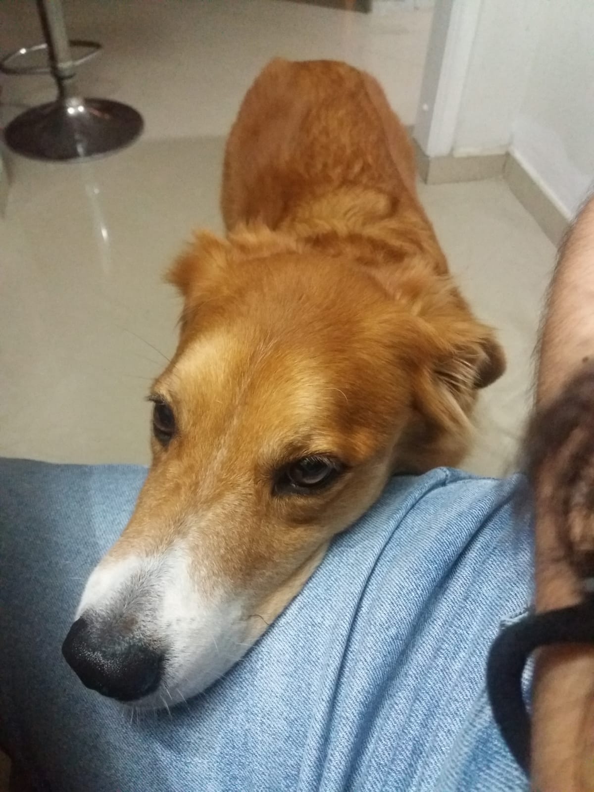 image-6