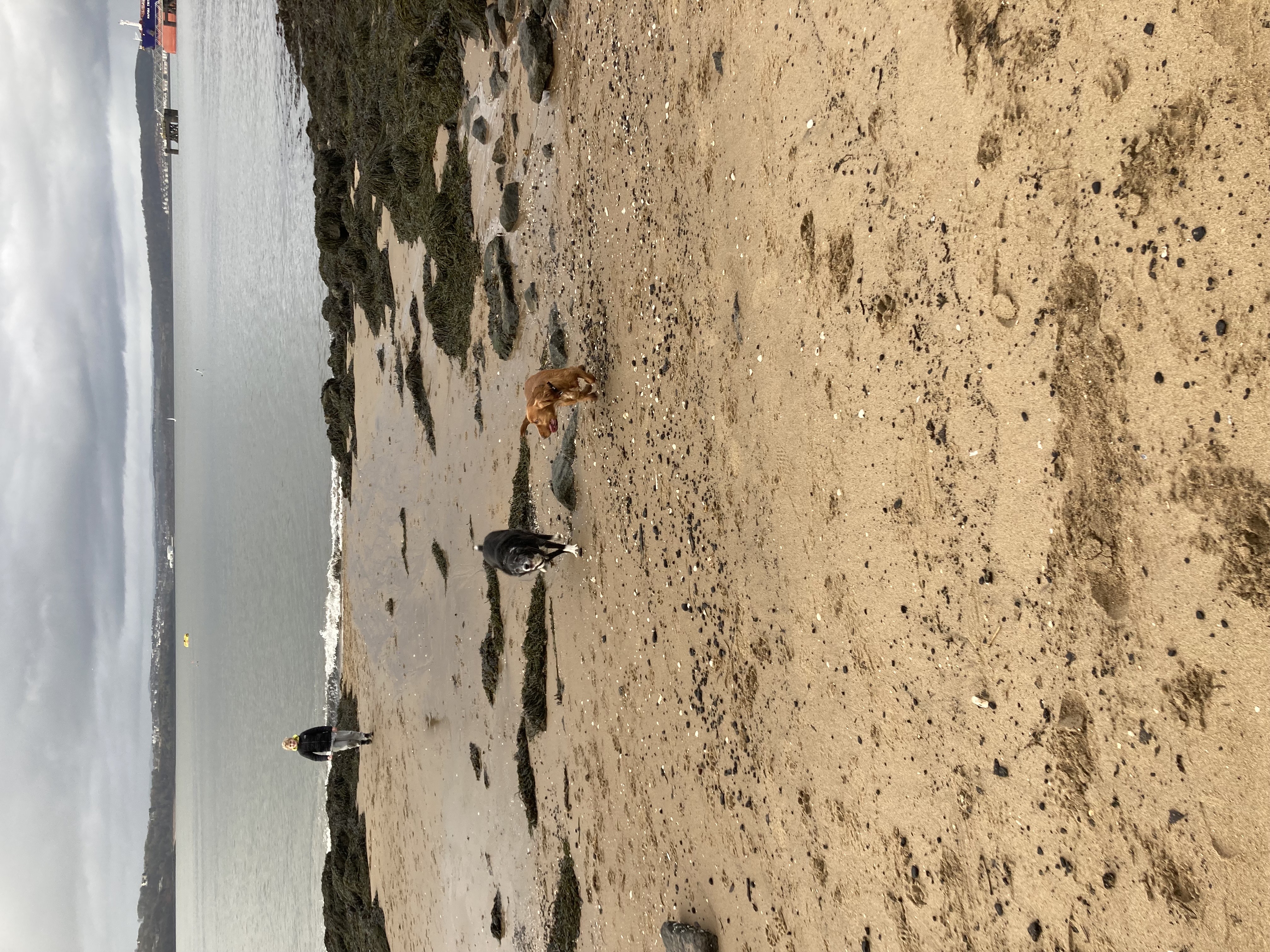 image-14