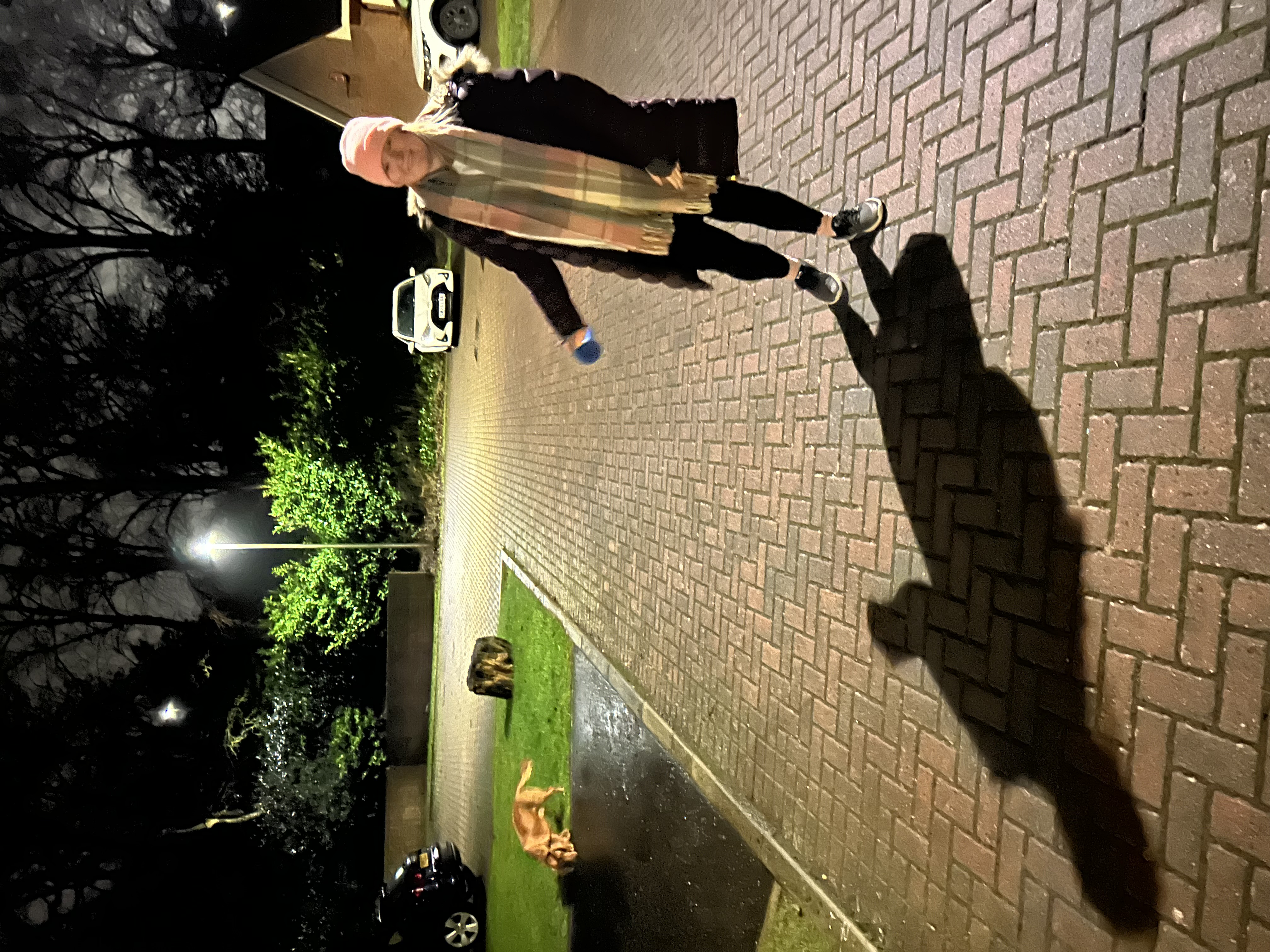 image-10