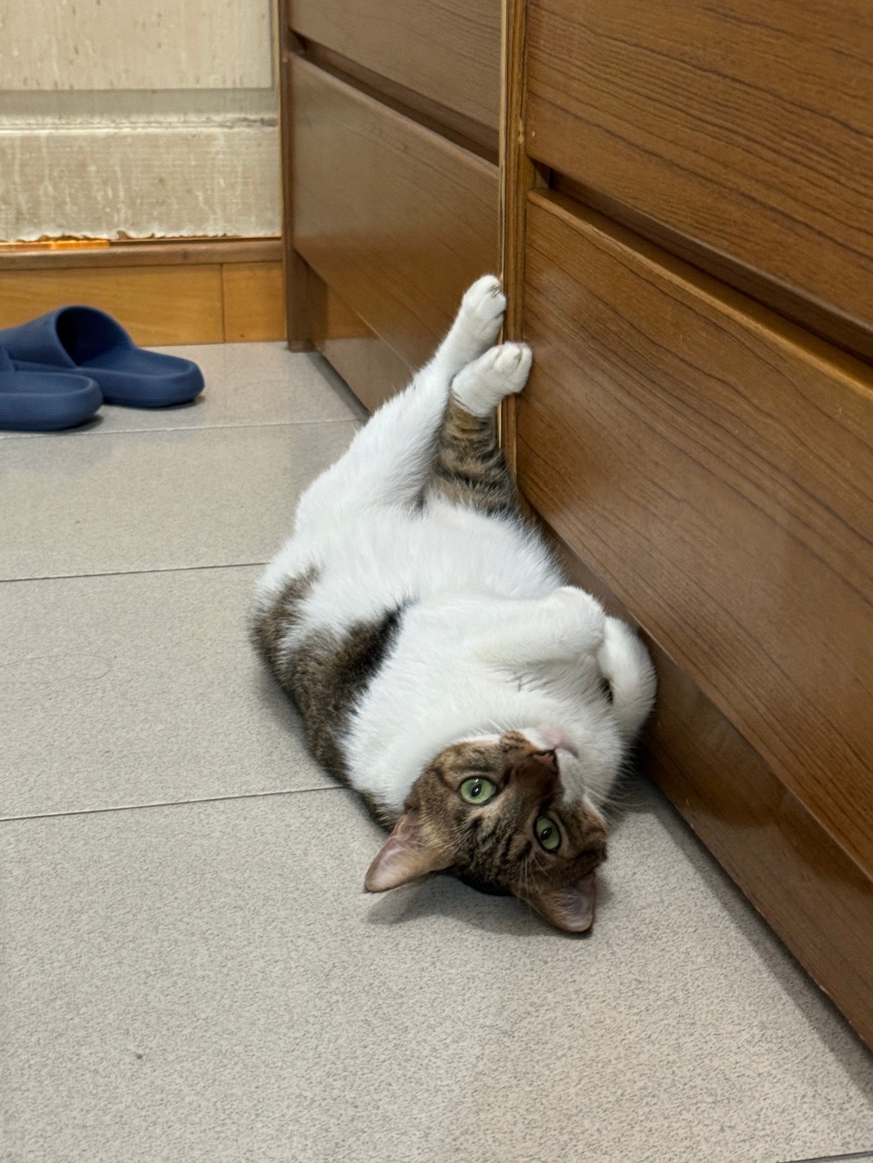 image-14