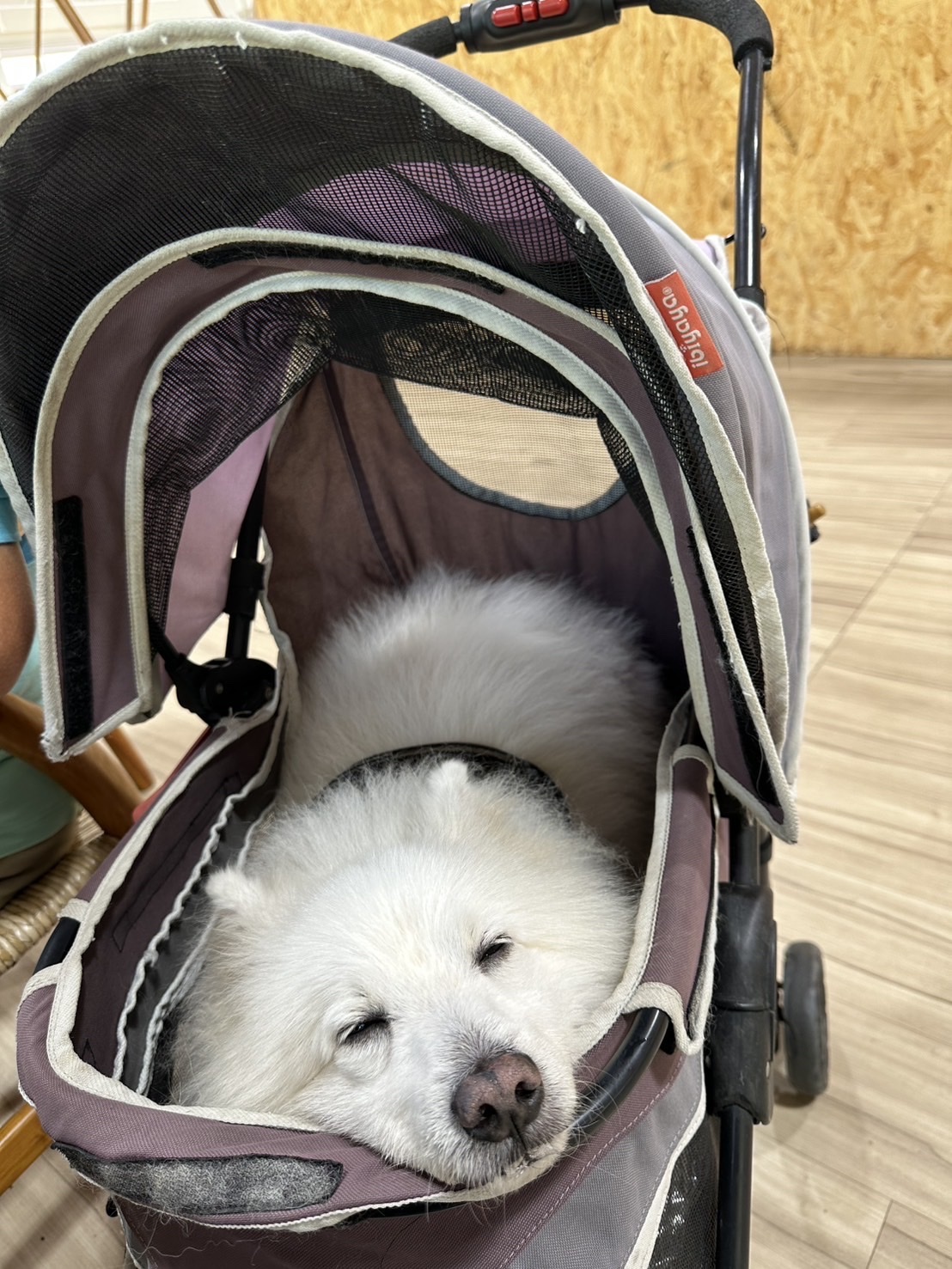 image-7