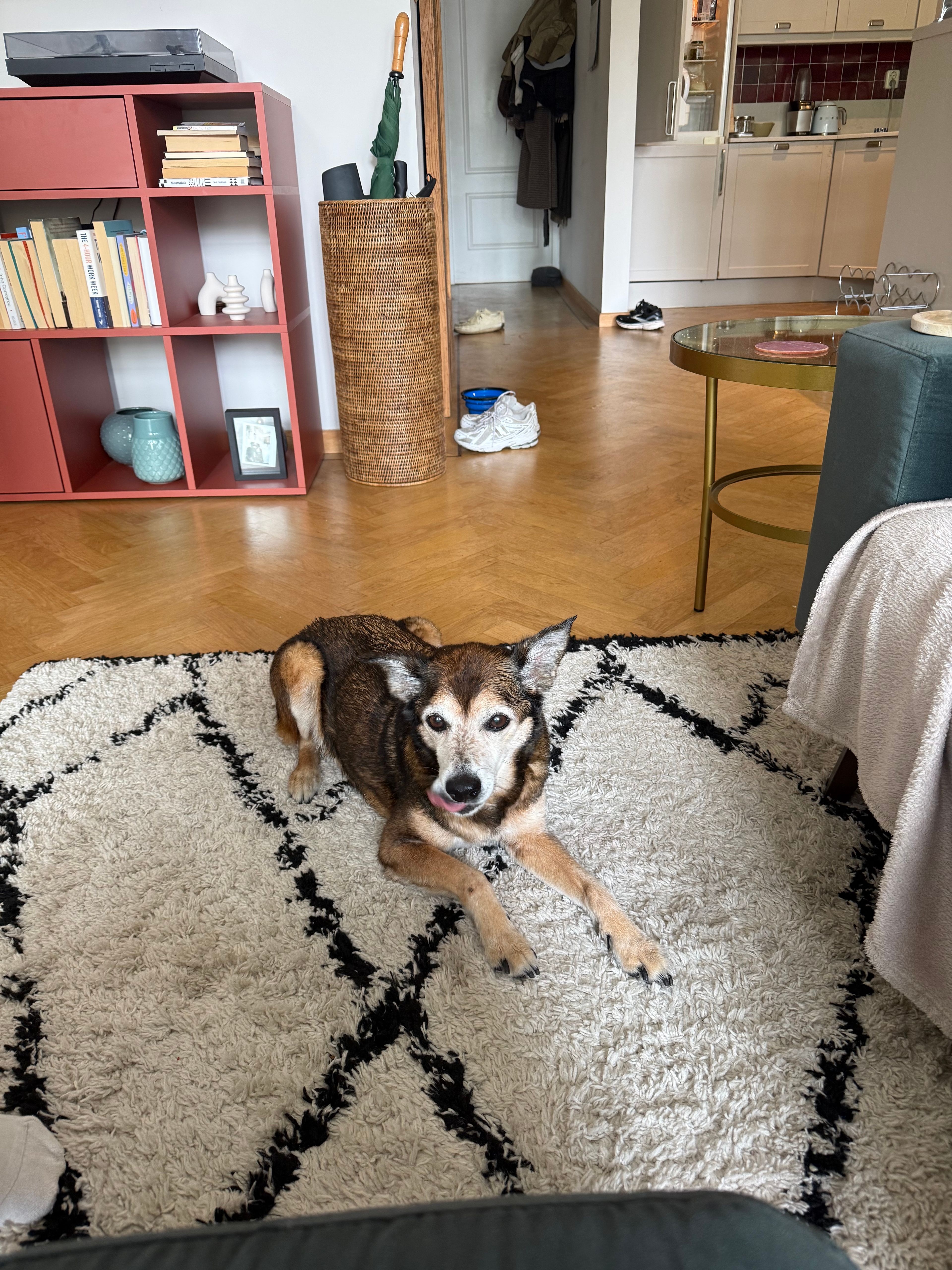 image-14