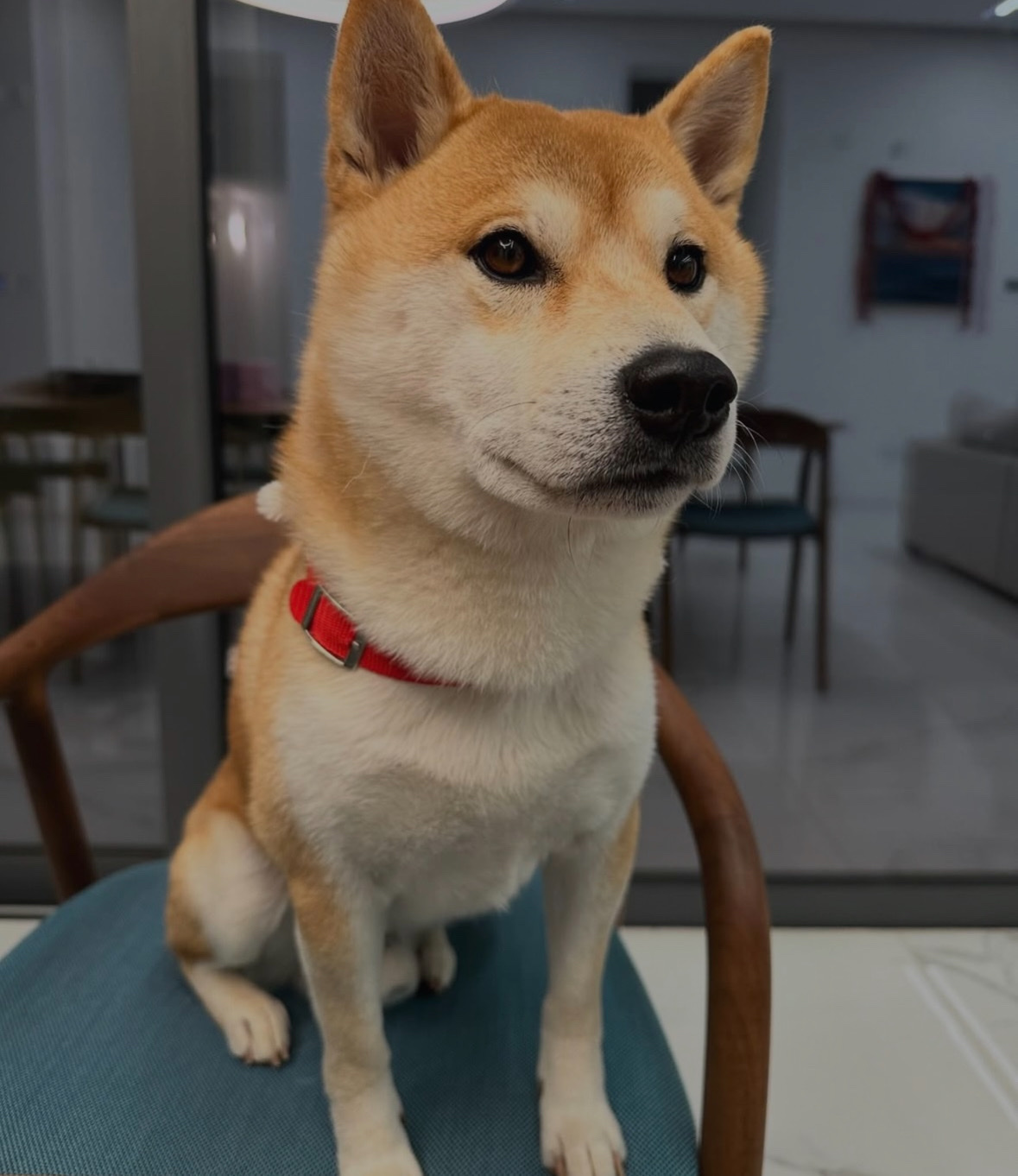 image-8