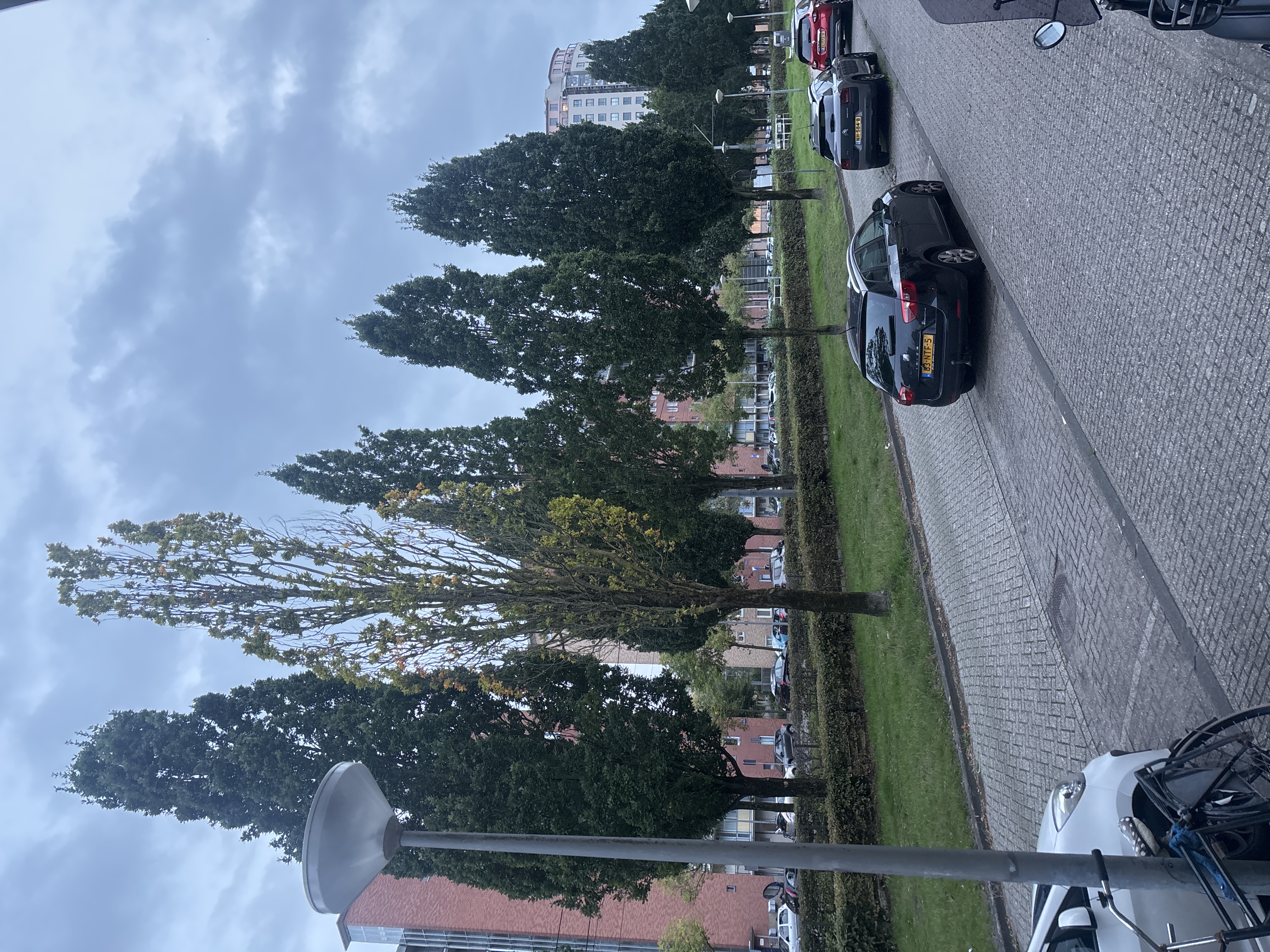 image-19