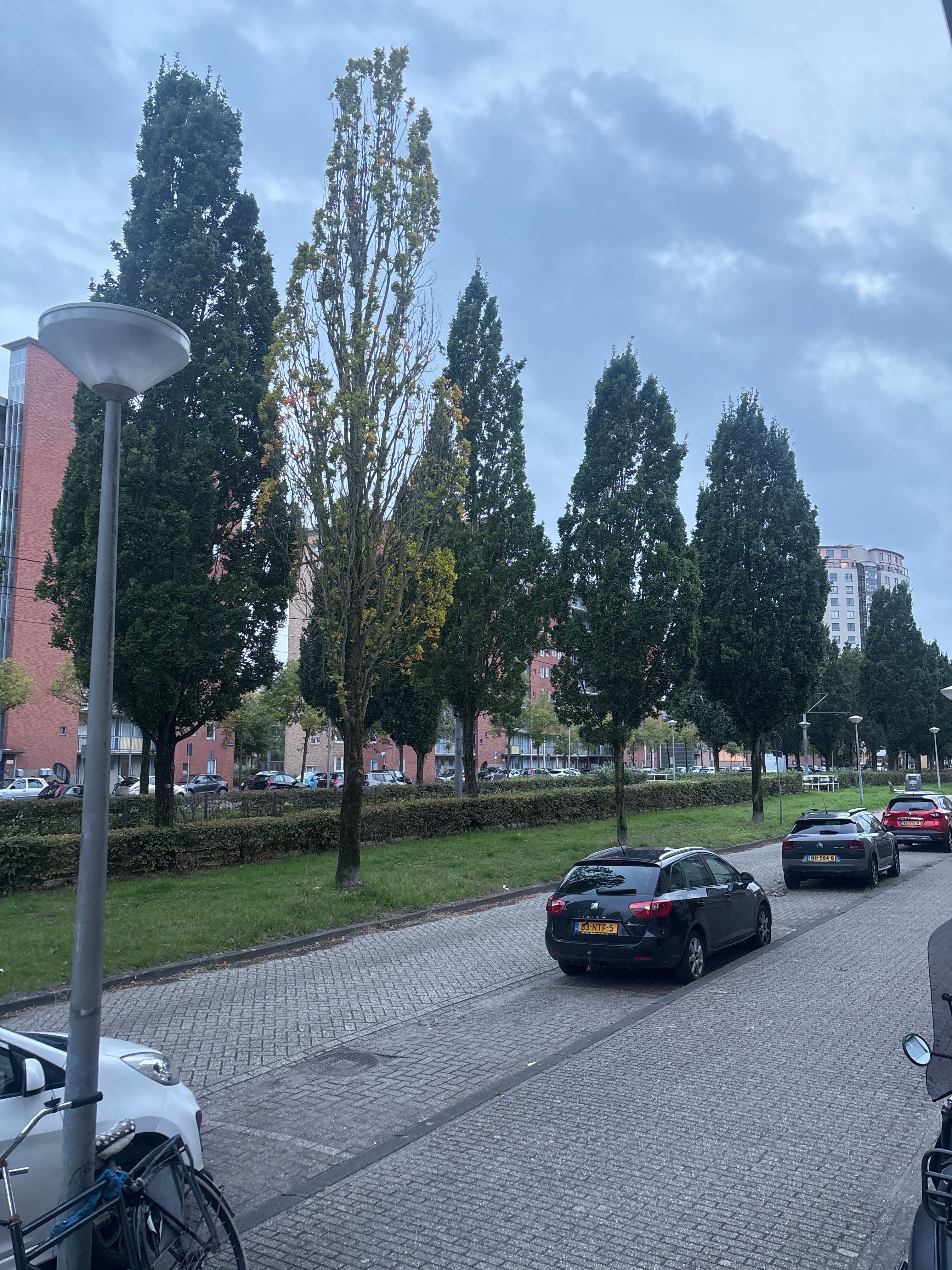 image-19