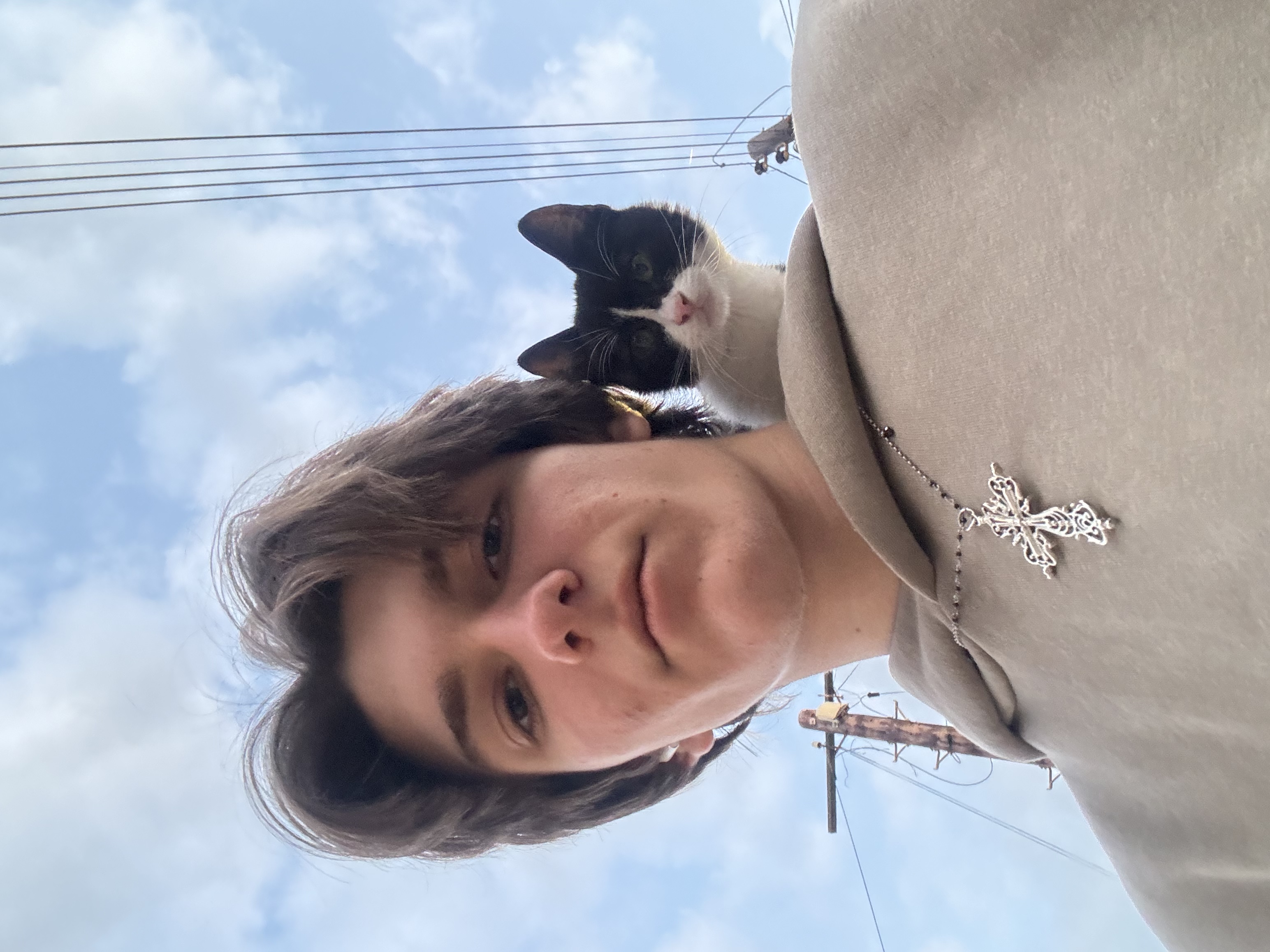 image-9