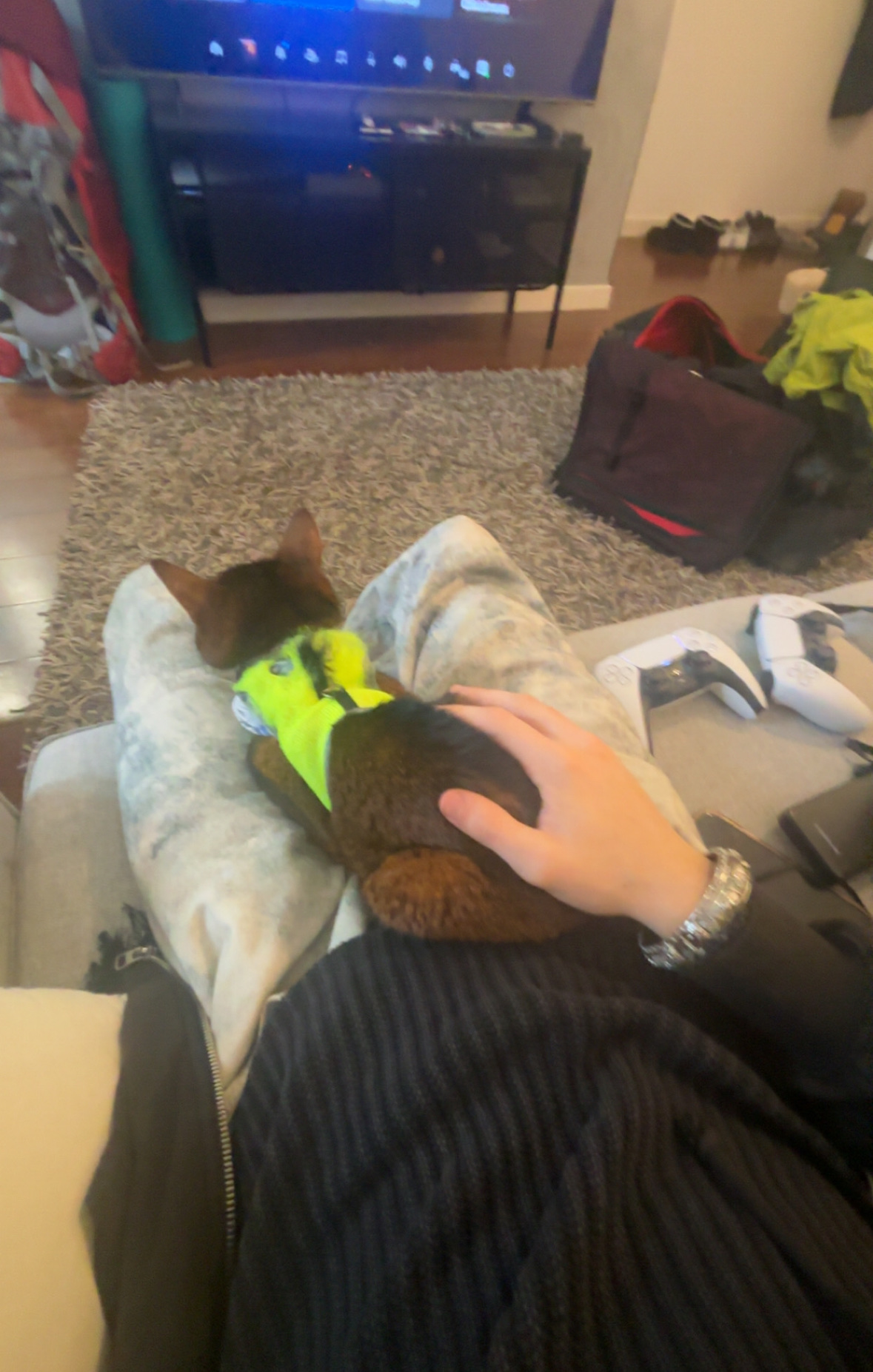 image-6