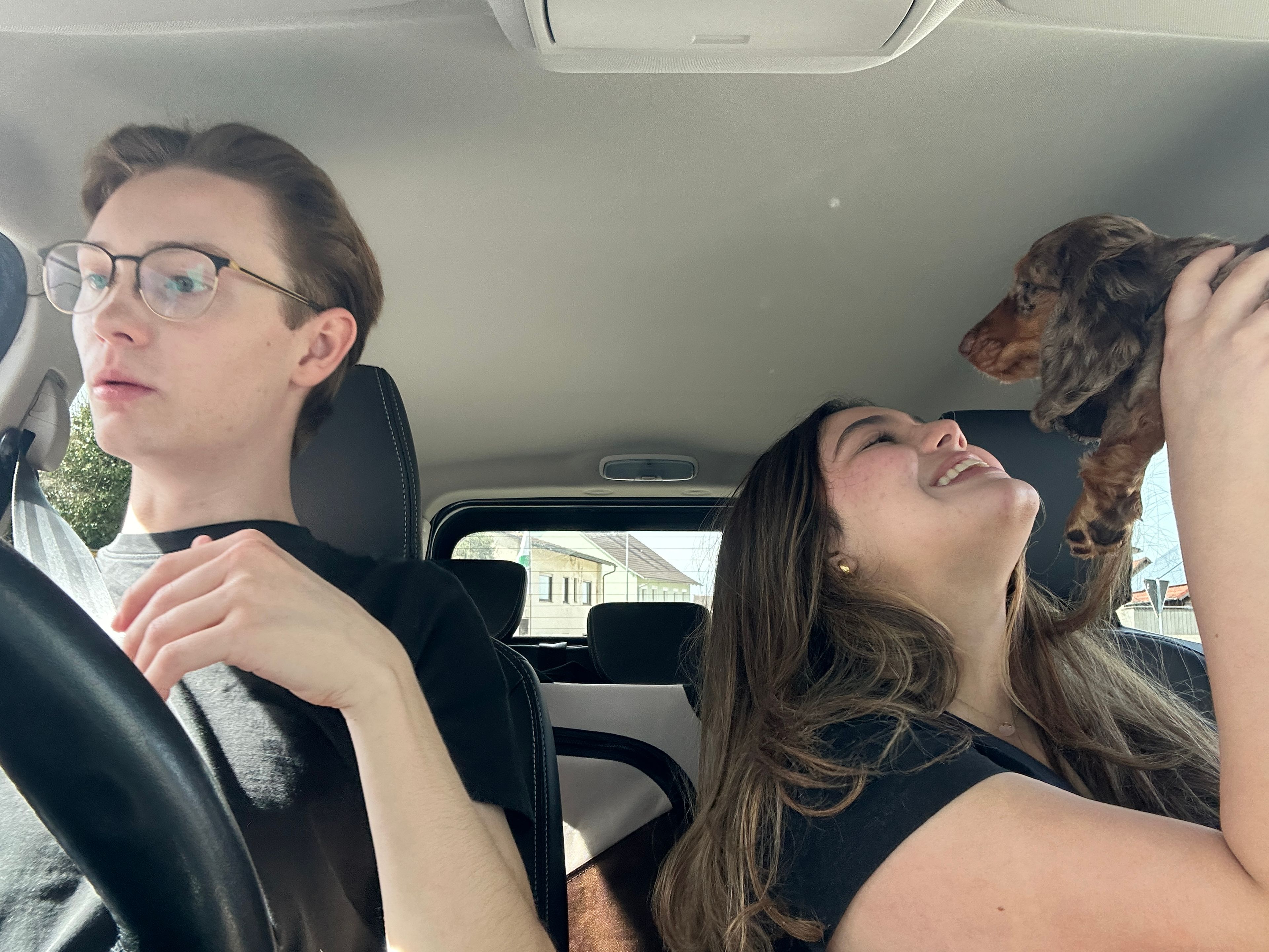 image-6